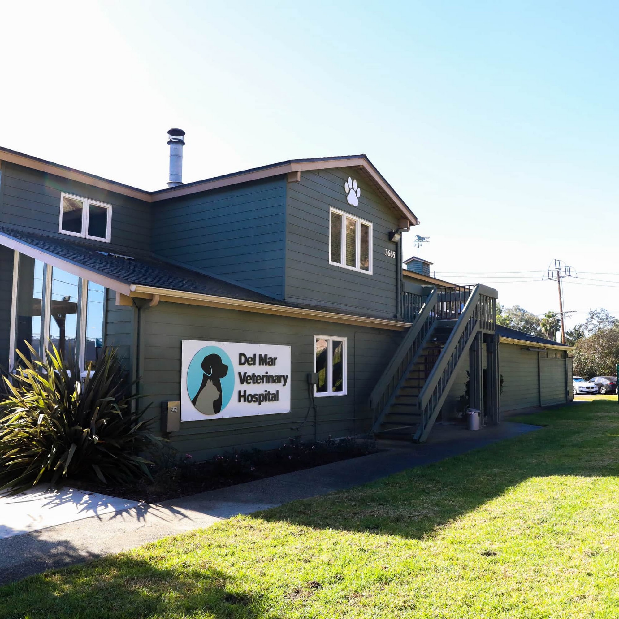 Del Mar Veterinary Hospital Del Mar