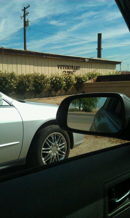 Delano Veterinary Hospital Delano