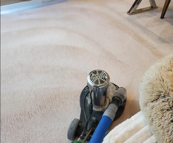 Best Carpet Cleaners