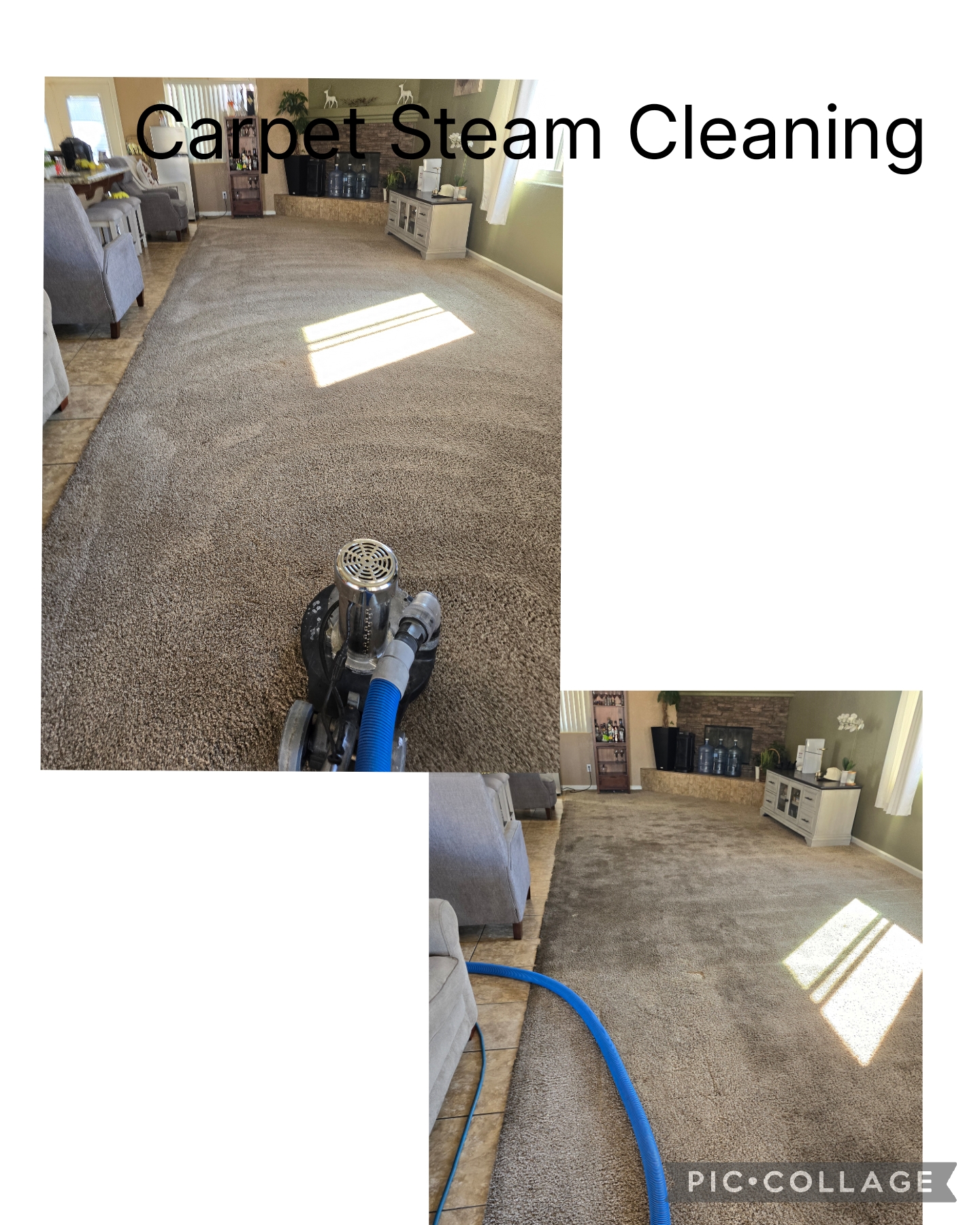 Best Carpet Cleaners
