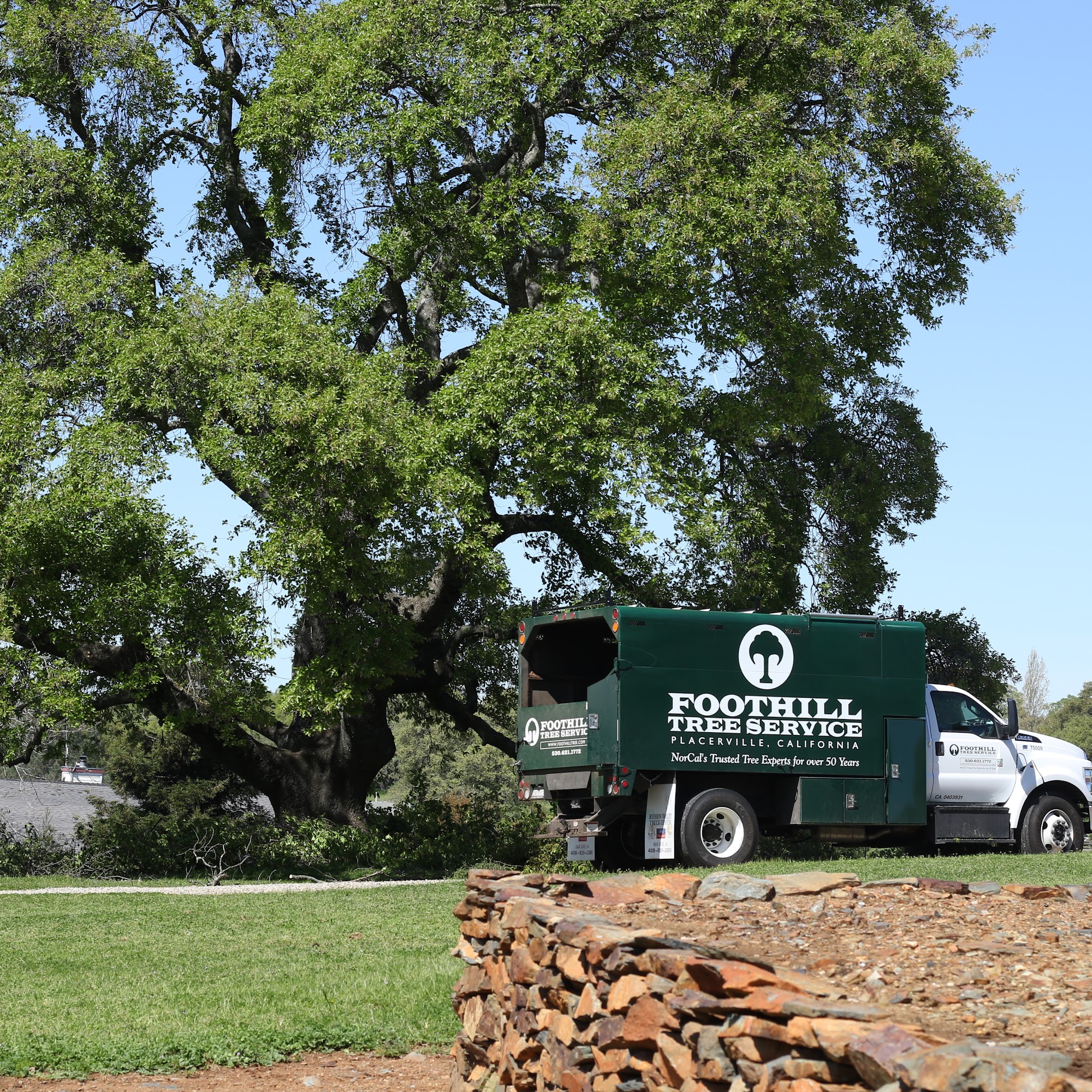 Foothill Tree Service