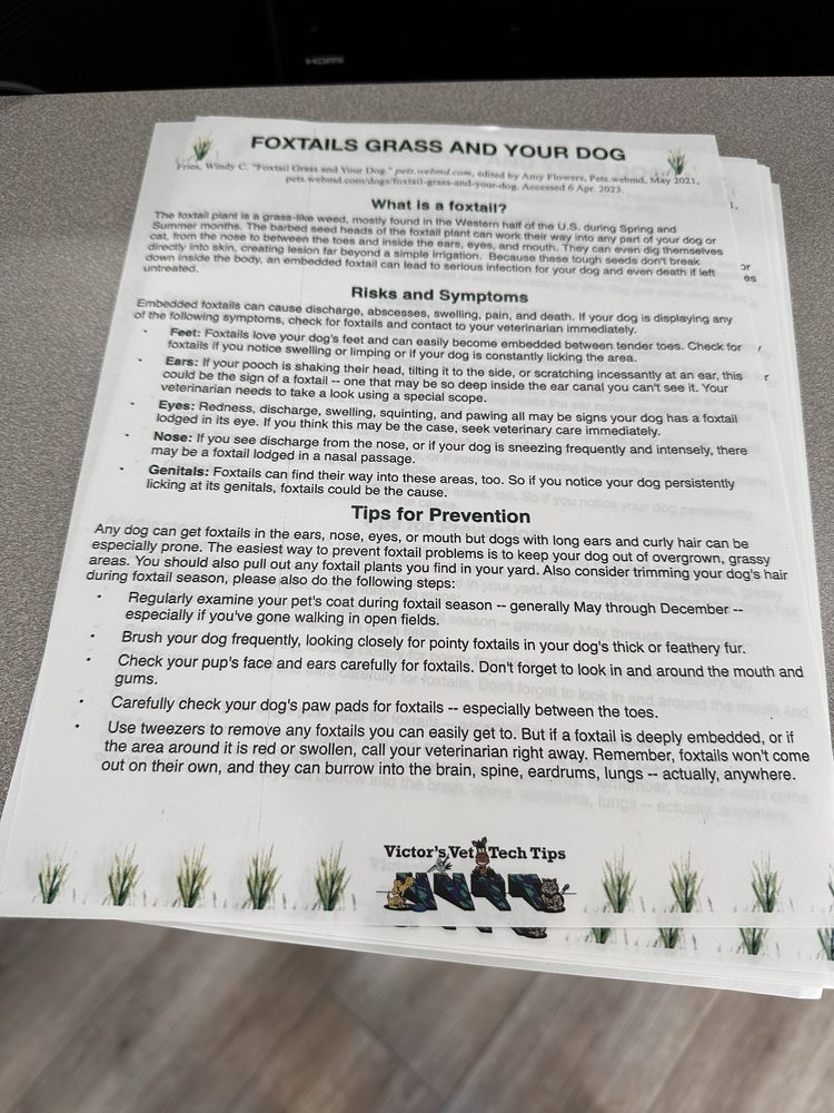 Aggie Animal Clinic: Murray Donia DVM