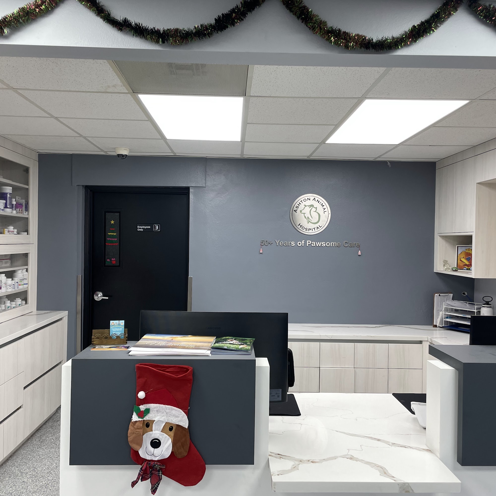 Ashton Animal Hospital Downey