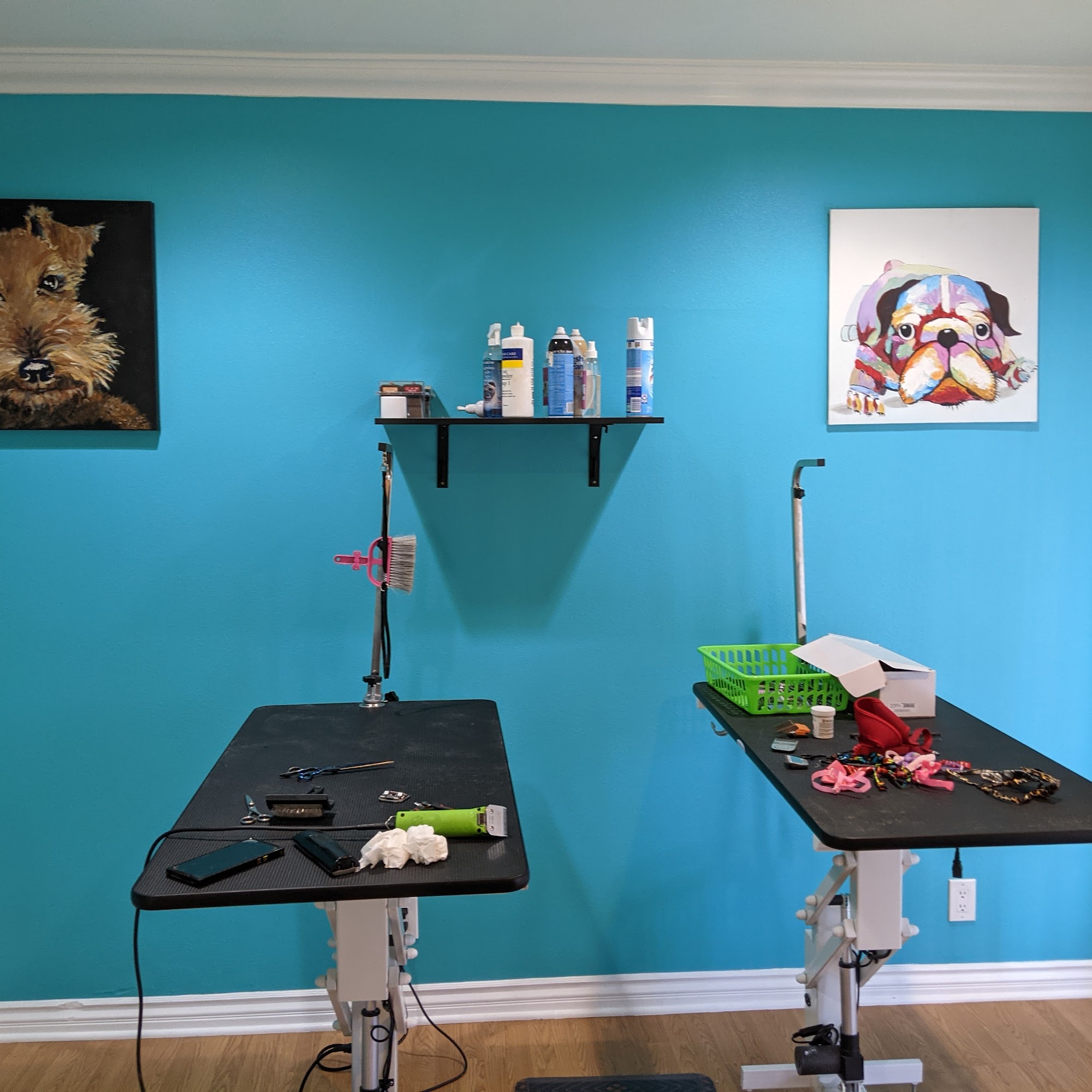 Doggy Land Grooming Downey