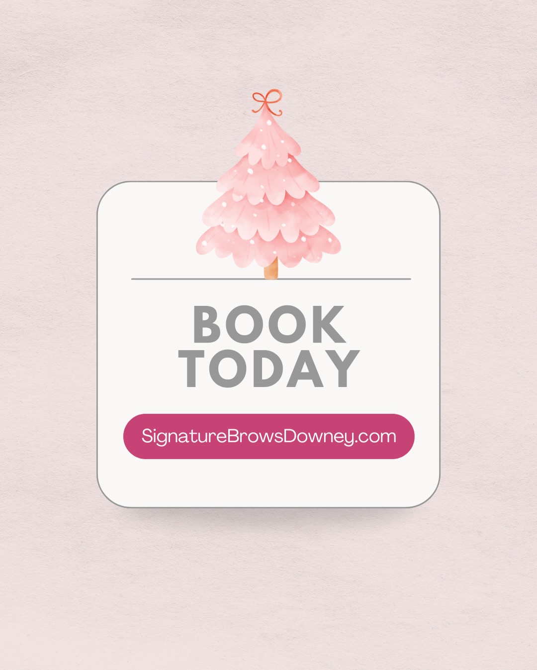 SB Brow Bar| Eyebrow Threading | Eyebrow Waxing