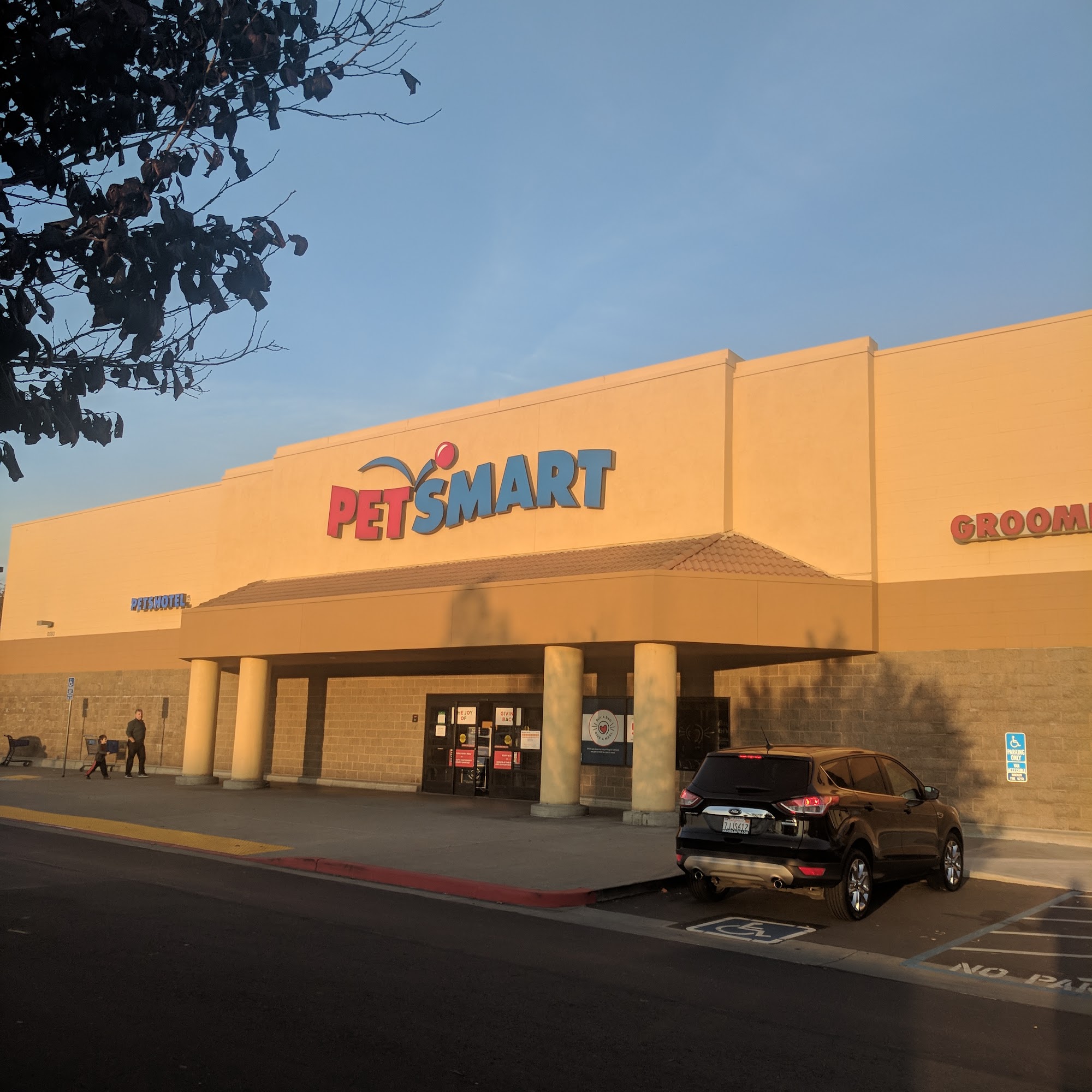 PetSmart Dublin