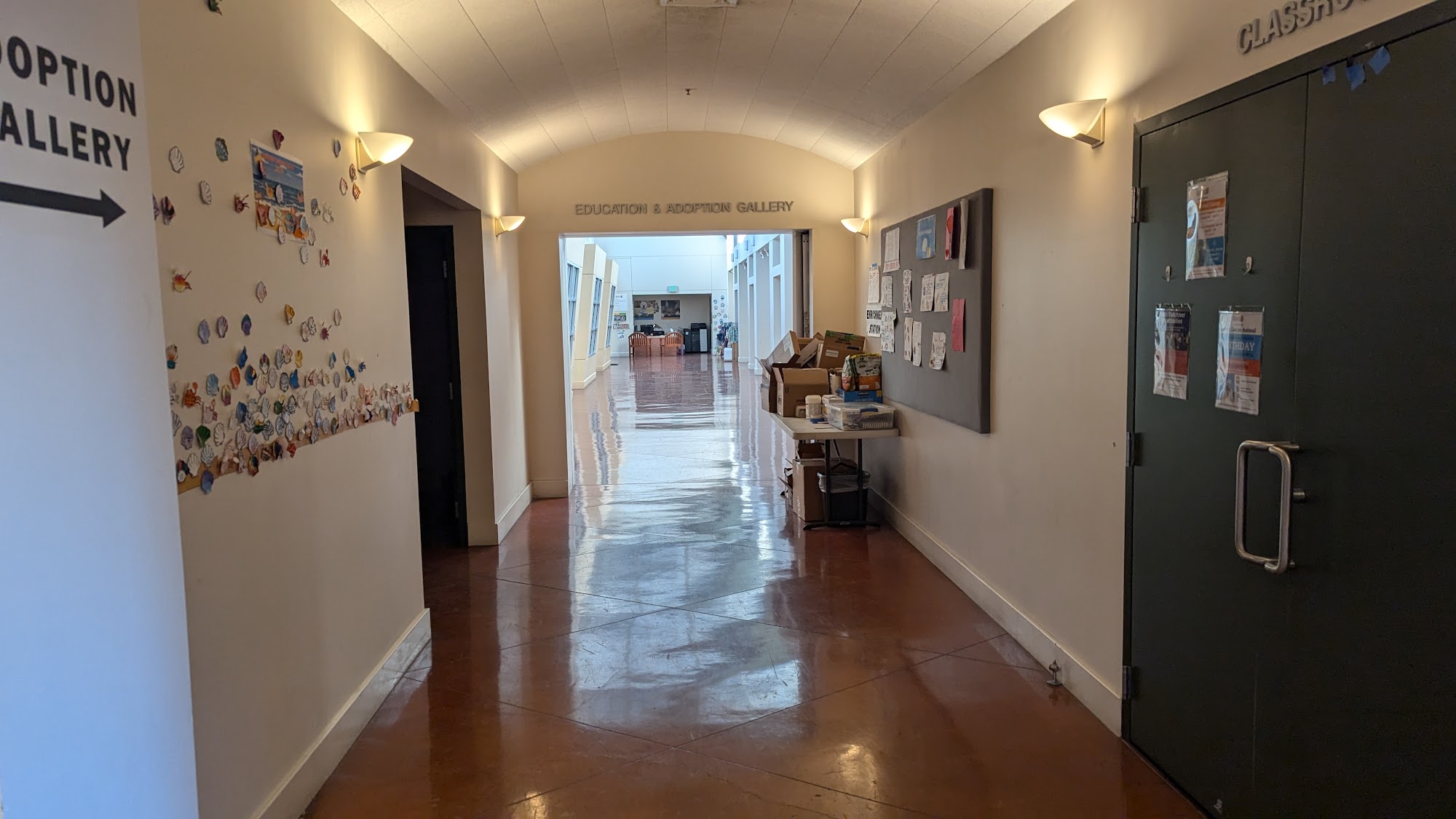 East Bay SPCA, Dublin Dublin