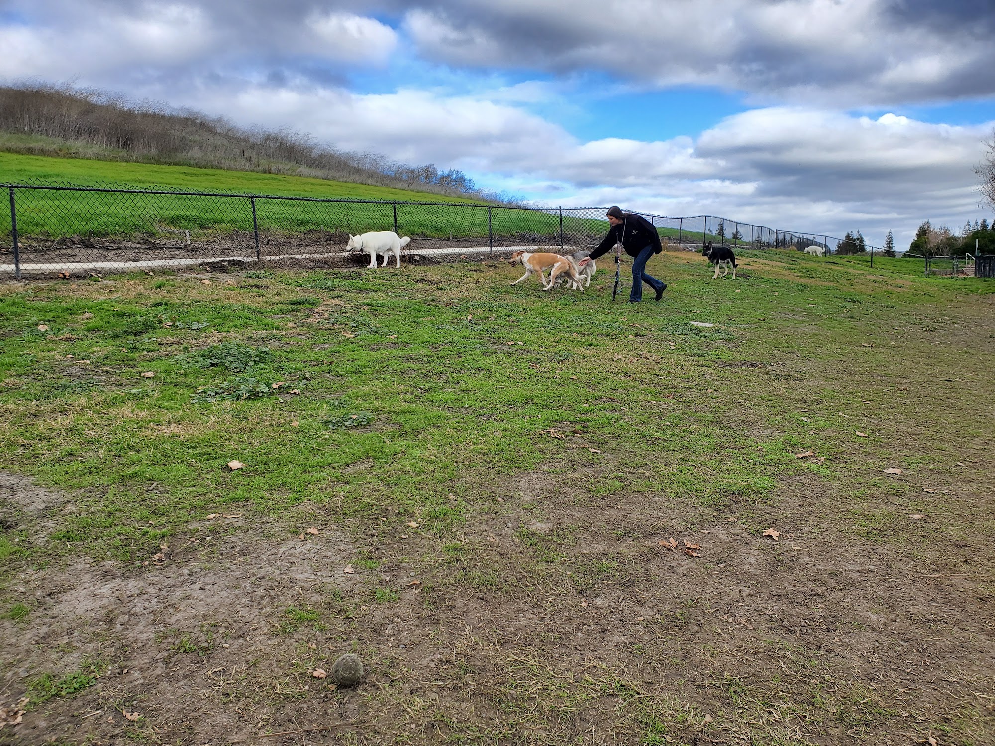 Dougherty Hills Dog Park Dublin