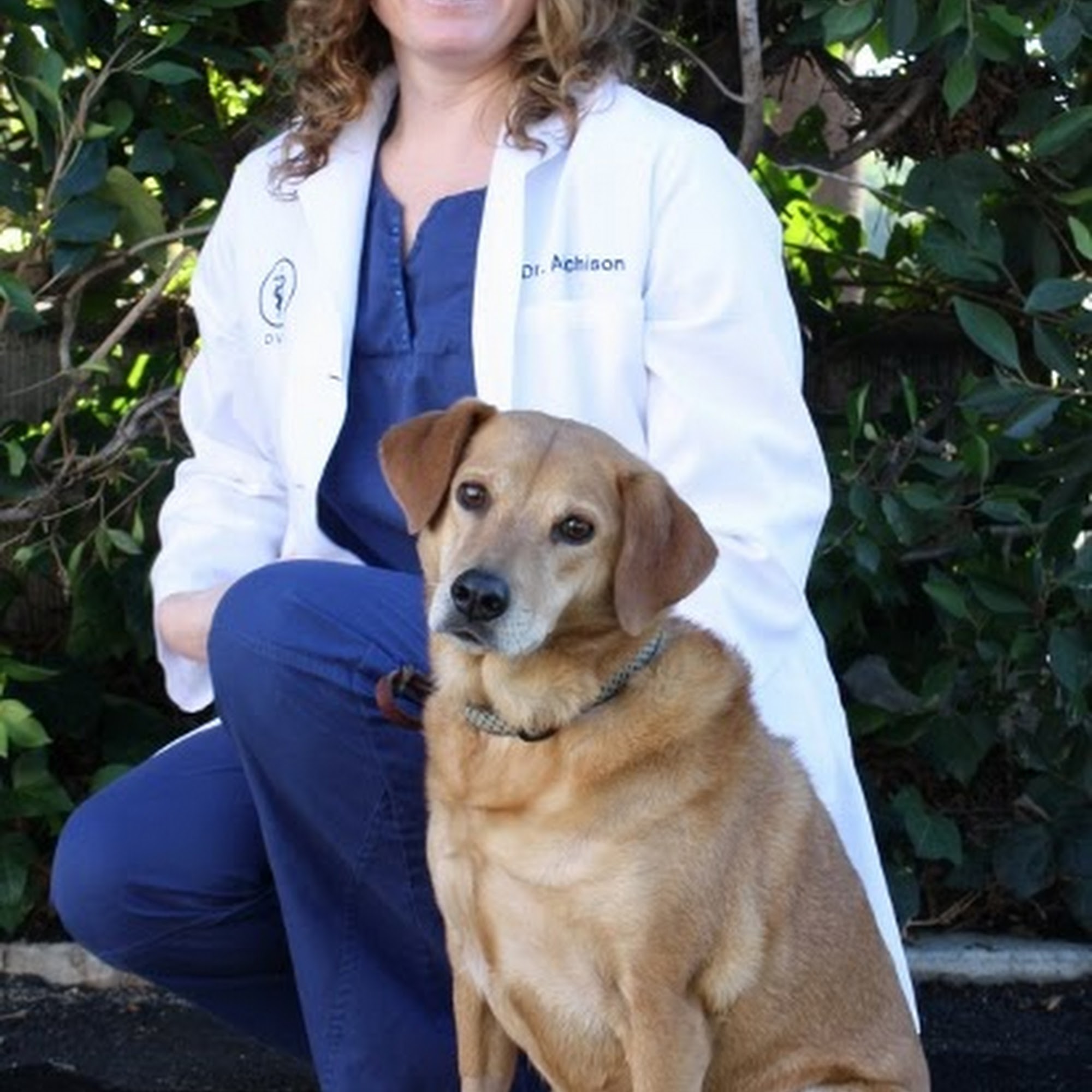 Care & Comfort Veterinary Hospital, A Thrive Pet Healthcare Partner El Cajon
