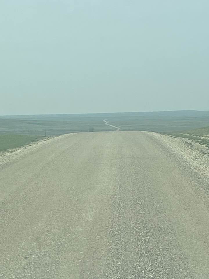 Precision Pest Solutions