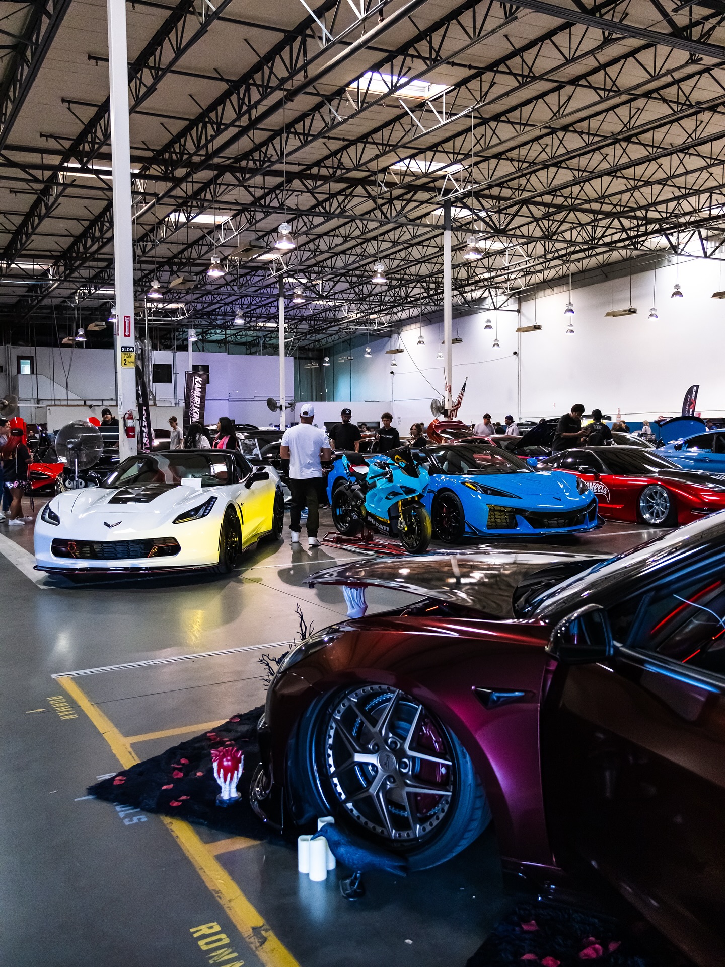 Zippy Cup Auto Detail San Diego