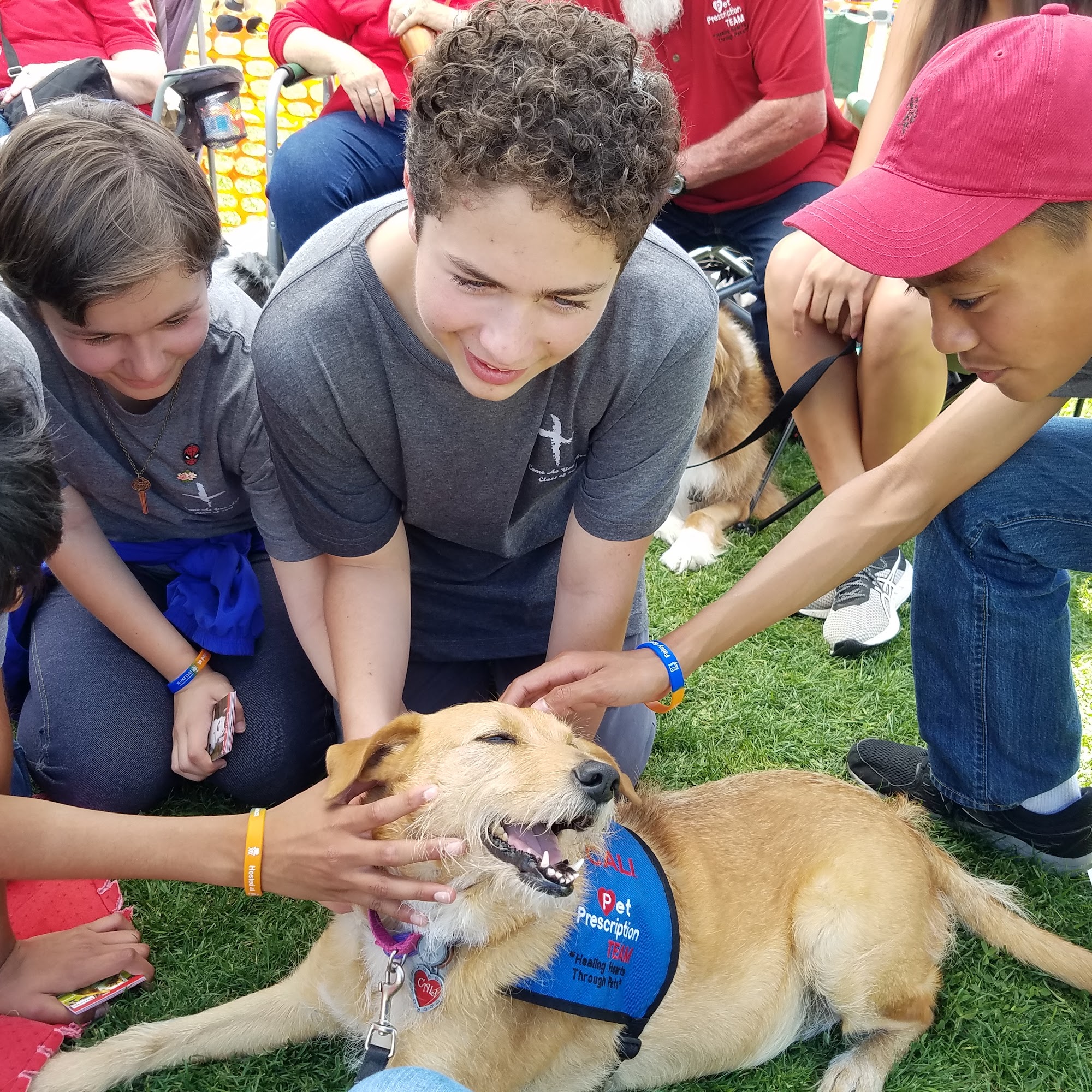 Pet Prescription Team El Cajon