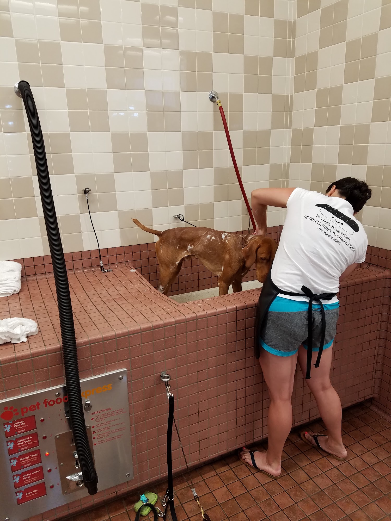 Pet Food Express El Cerrito