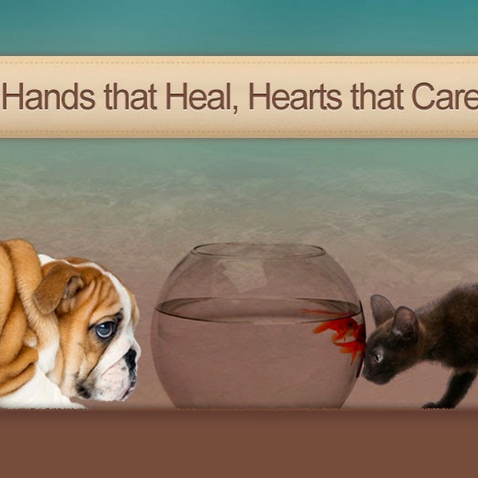 Veterinary Healing Center of El Dorado Hills El Dorado Hills