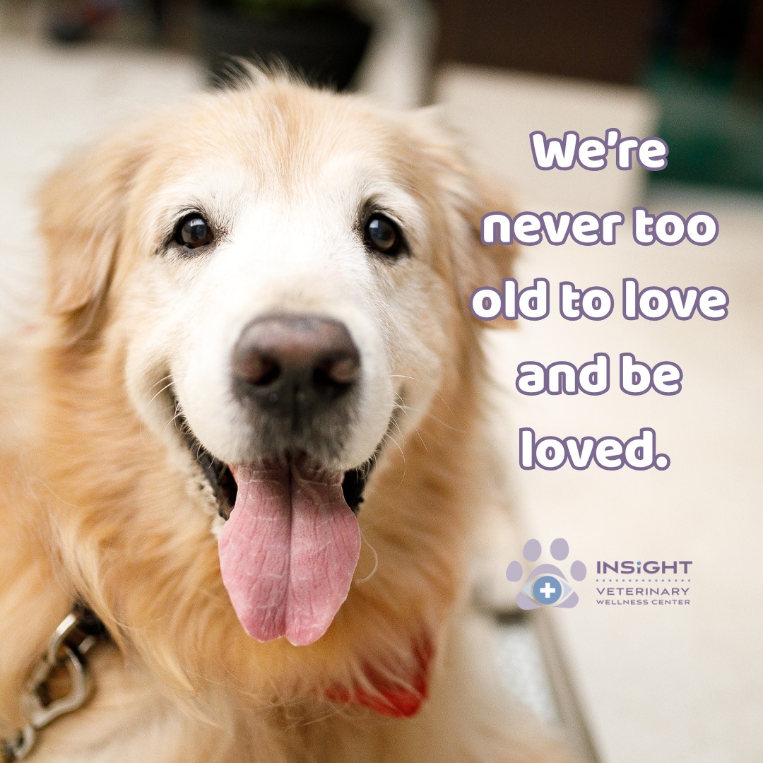 Insight Veterinary Wellness Center El Dorado Hills