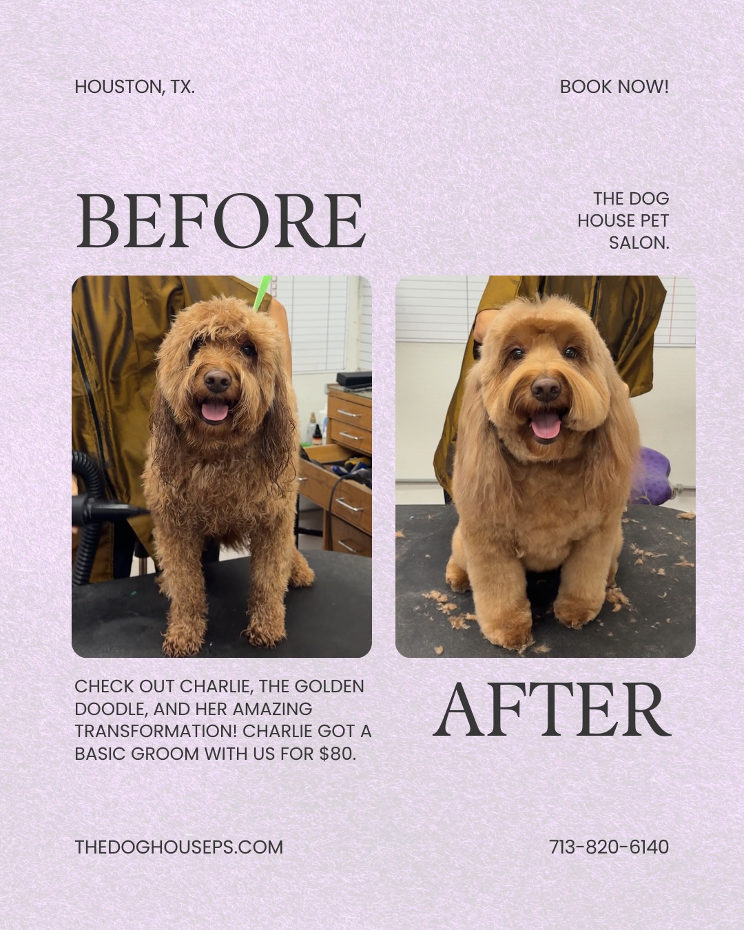 The Dog House Pet Salon El Dorado Hills