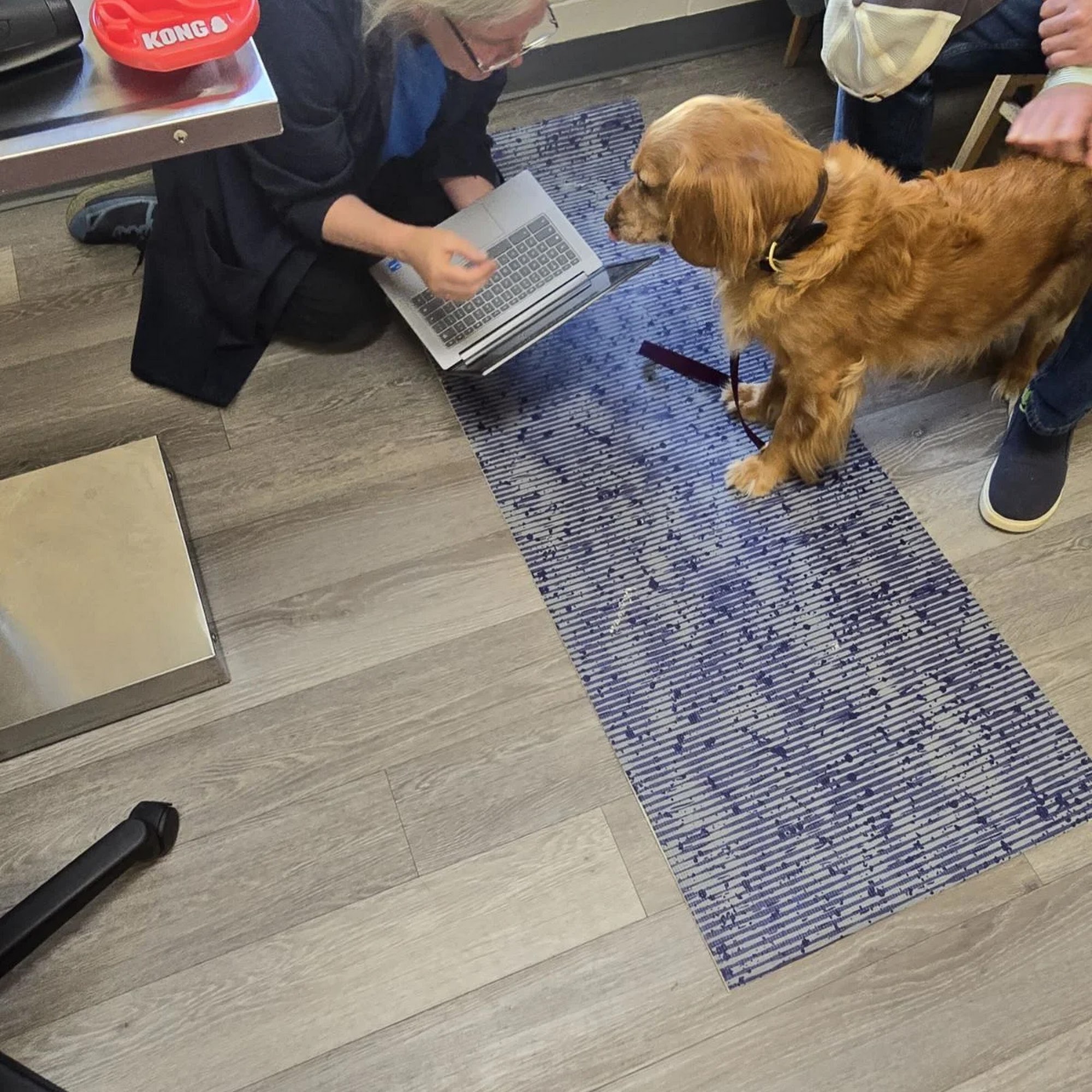 El Sobrante Veterinary Hospital El Sobrante