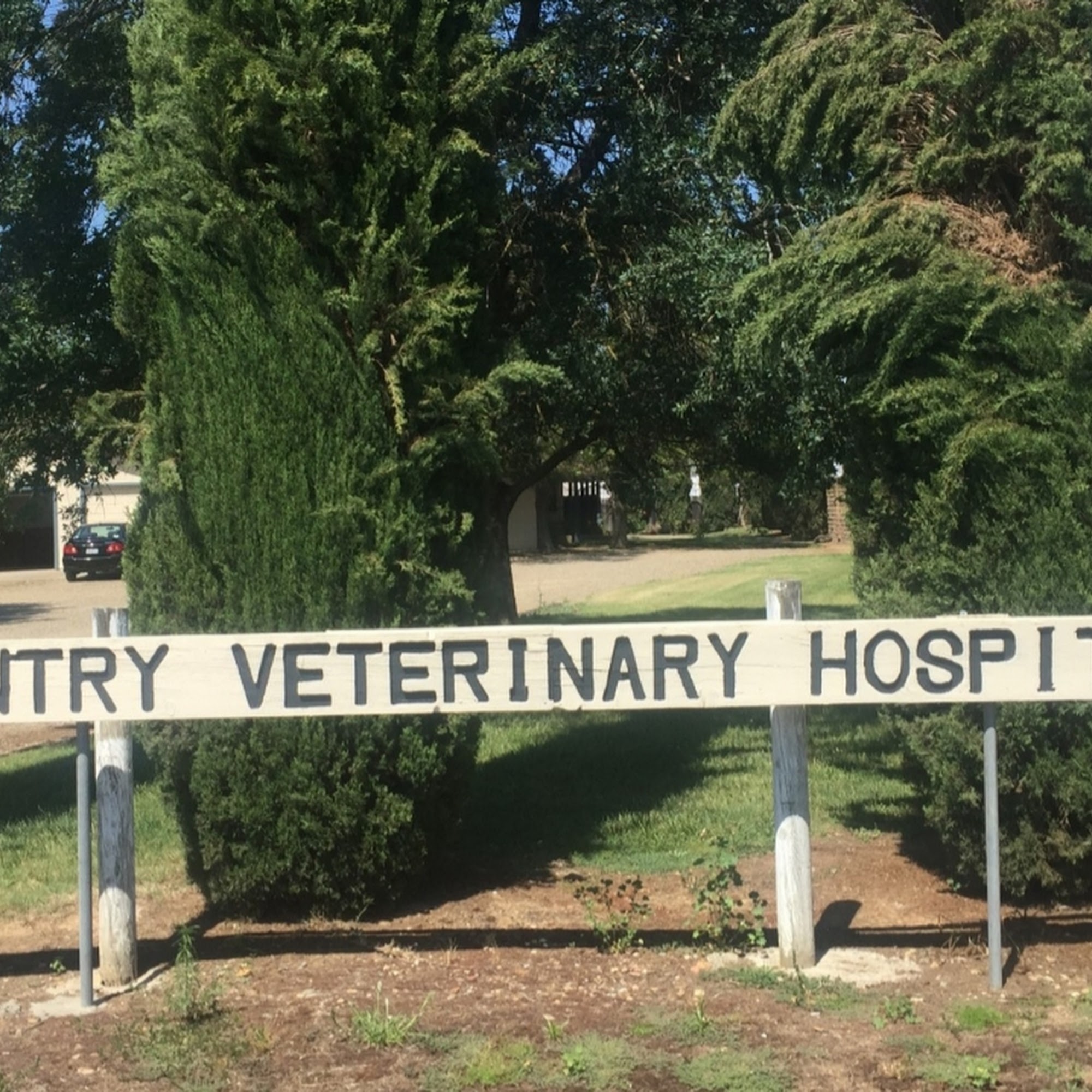 Country Veterinary Hospital Elk Grove