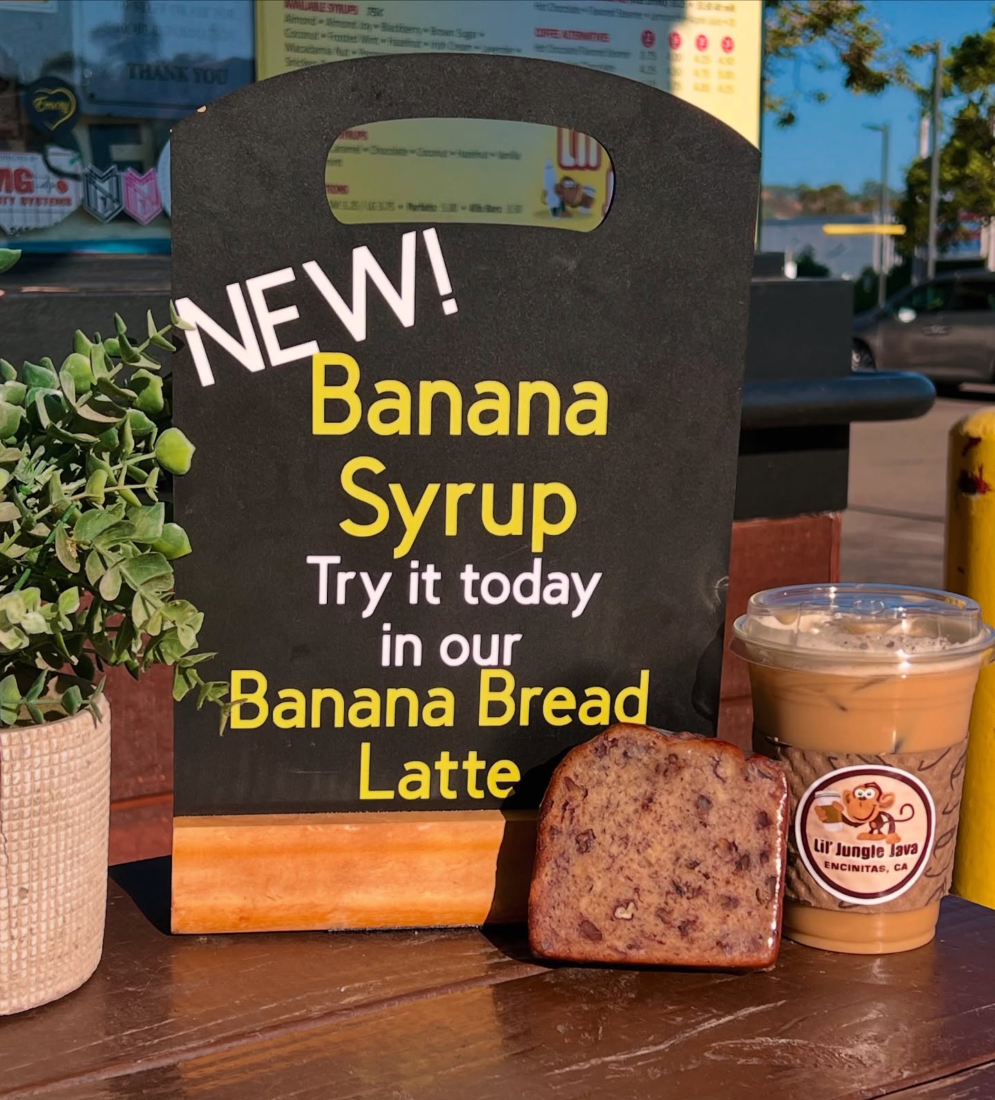 Lil Jungle Java Encinitas