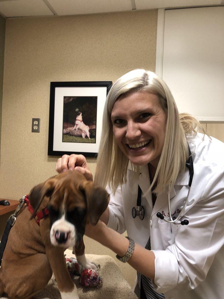 The Drake Center For Veterinary Care: Dr. Keala Shotwell Encinitas