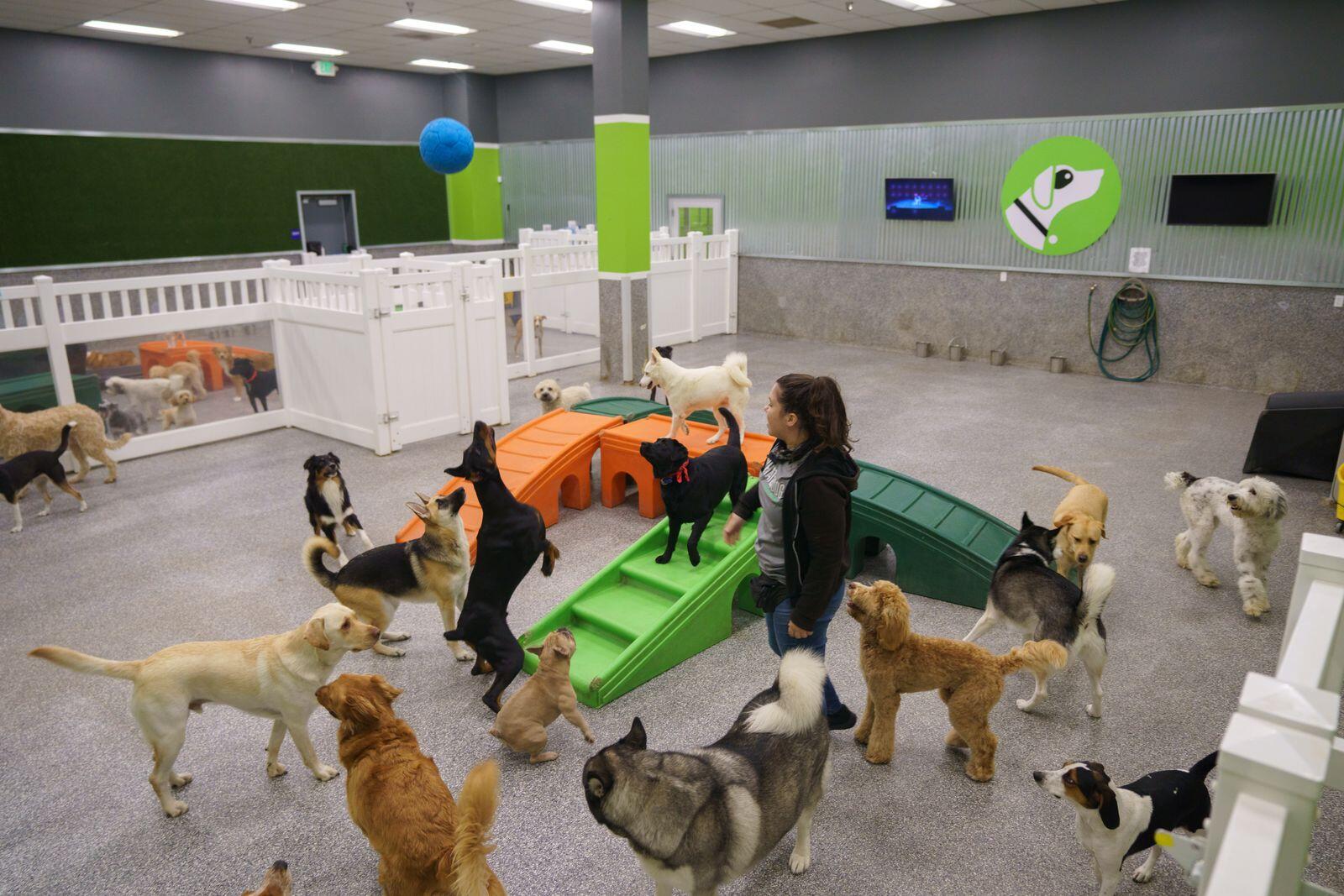 Paw Commons Pet Resort Encinitas