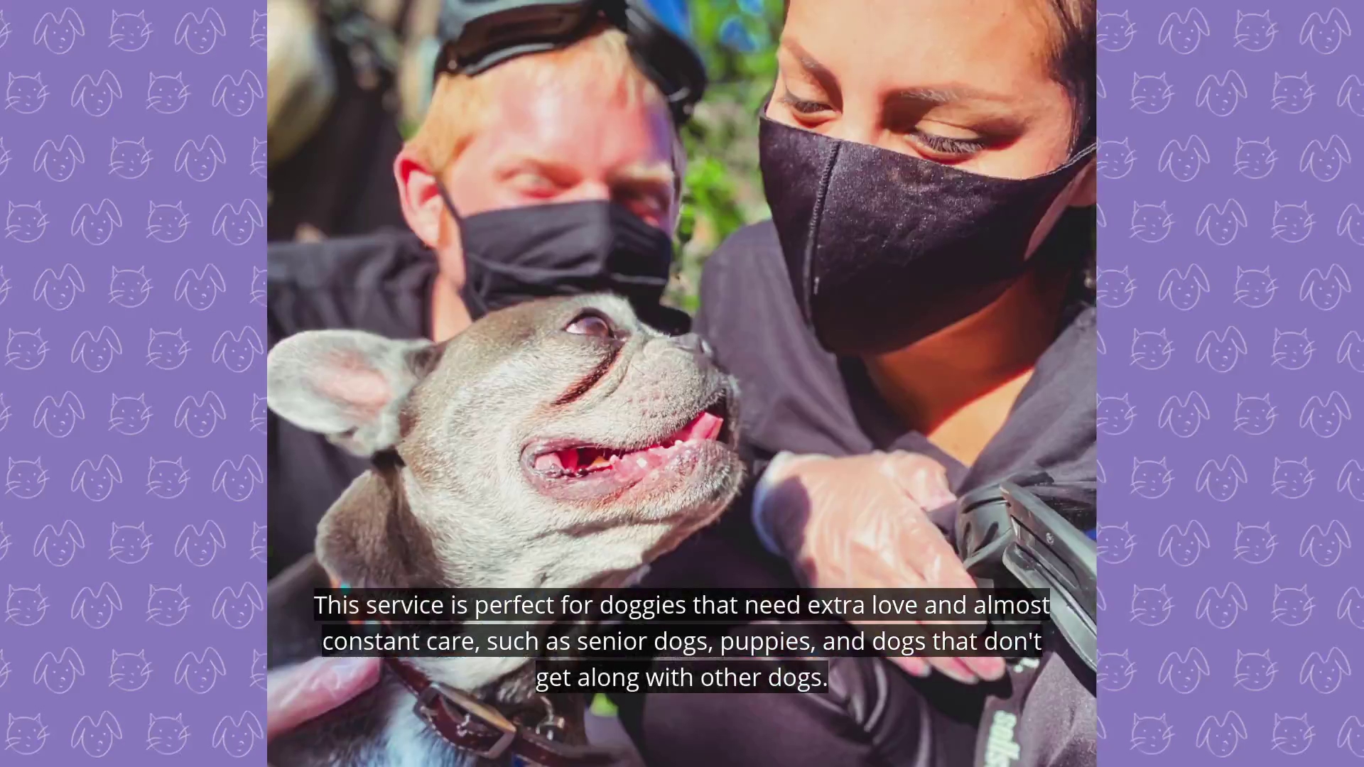 Encinitas Pet Sitting Encinitas