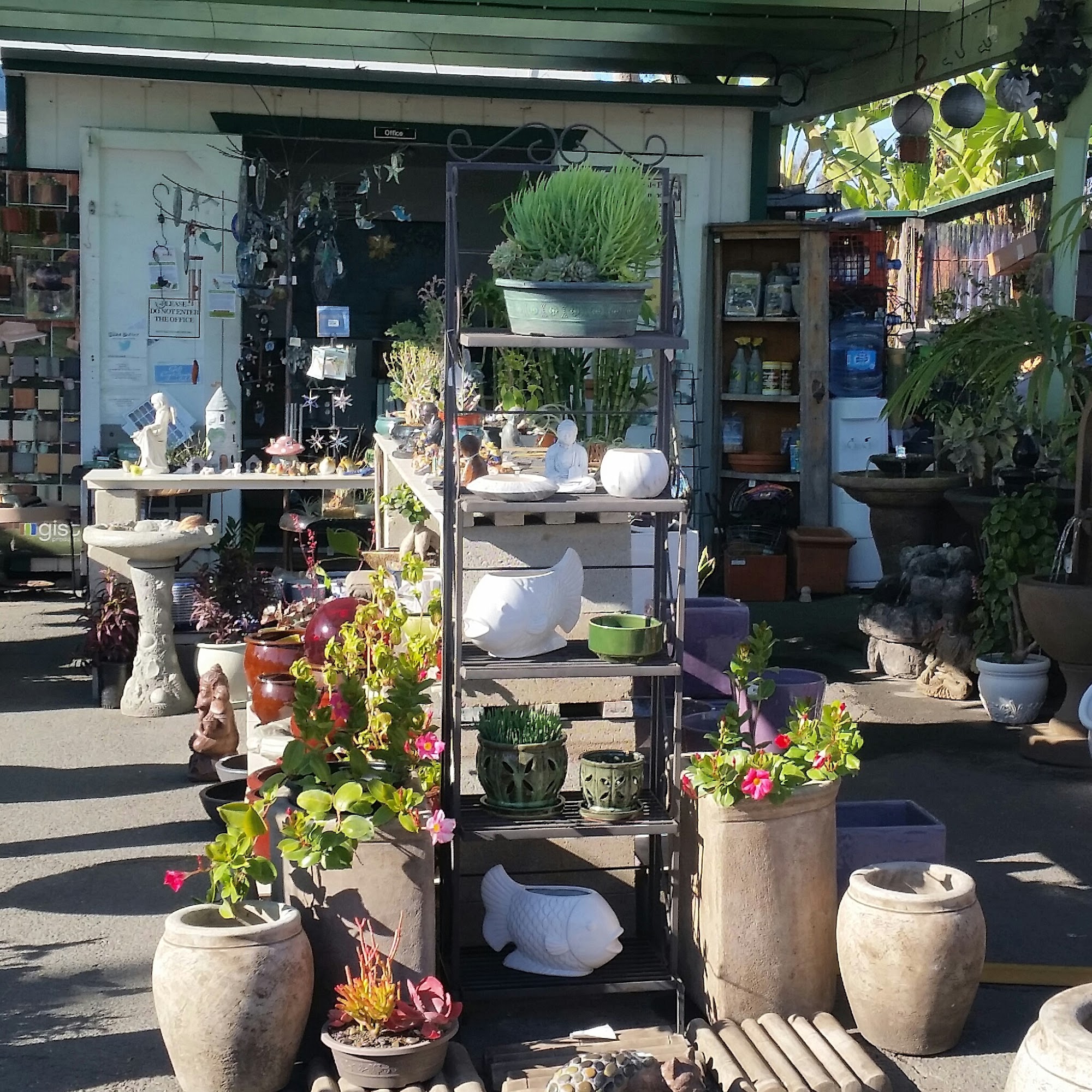 Madd Potter Encinitas