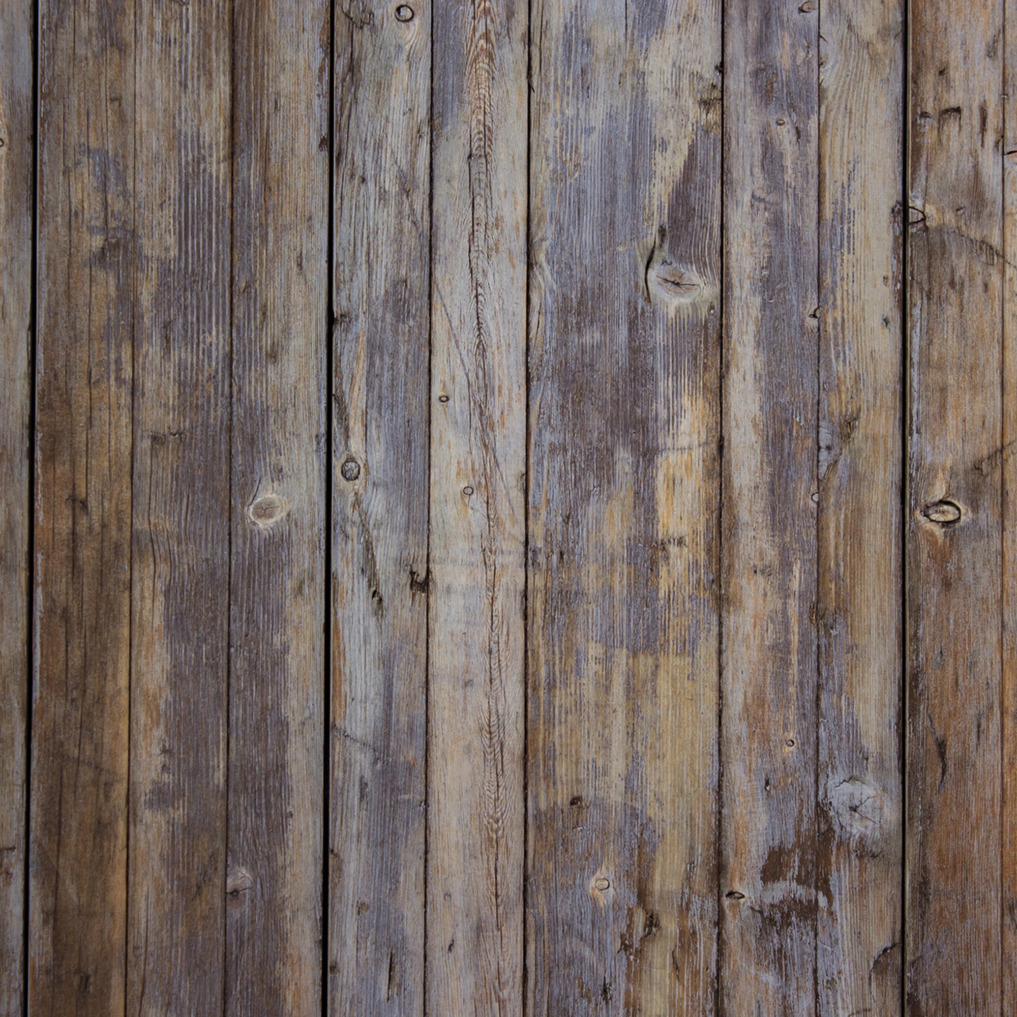 Beryle Studio 285 N El Camino Real #100, Encinitas California 92024