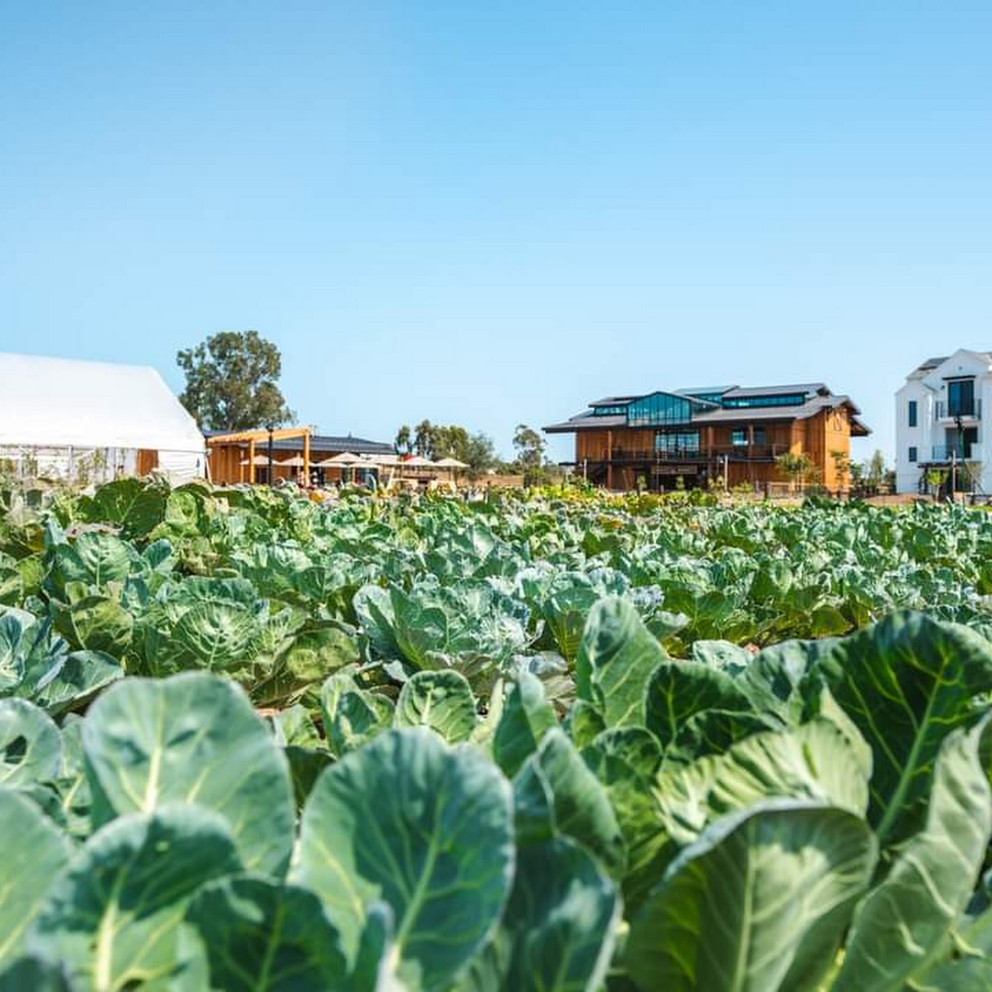 Fox Point Farms Encinitas