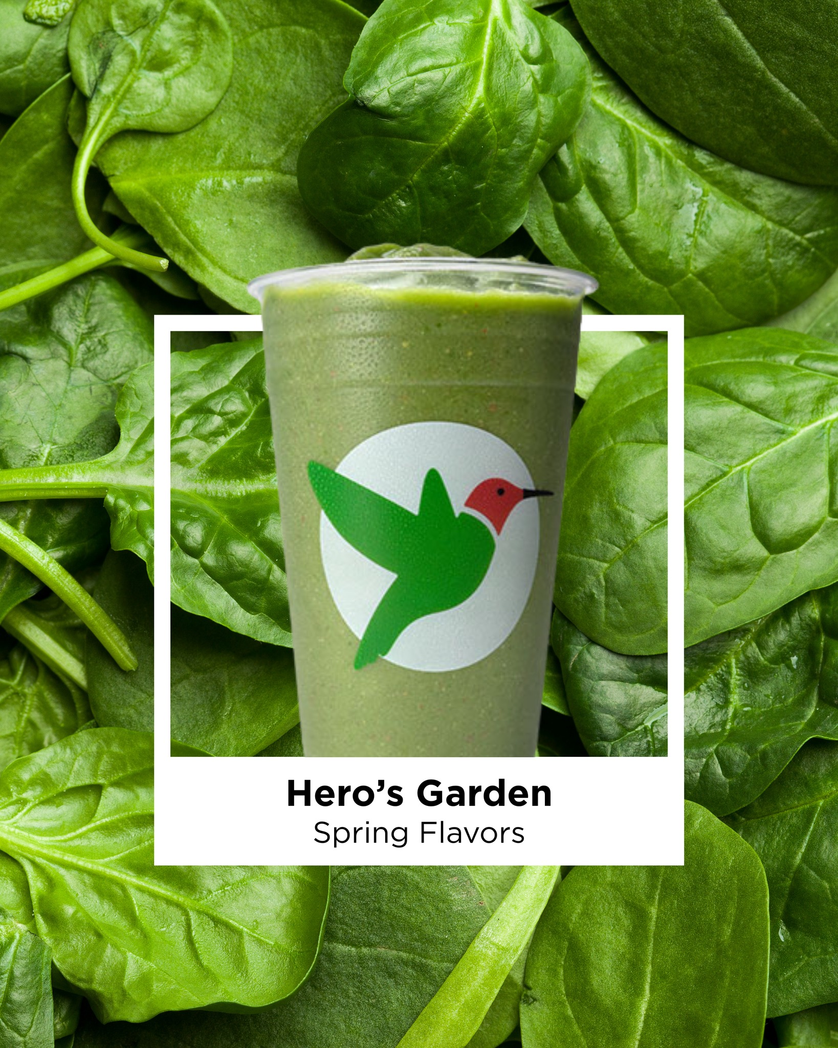 Robeks Fresh Juices & Smoothies Encino