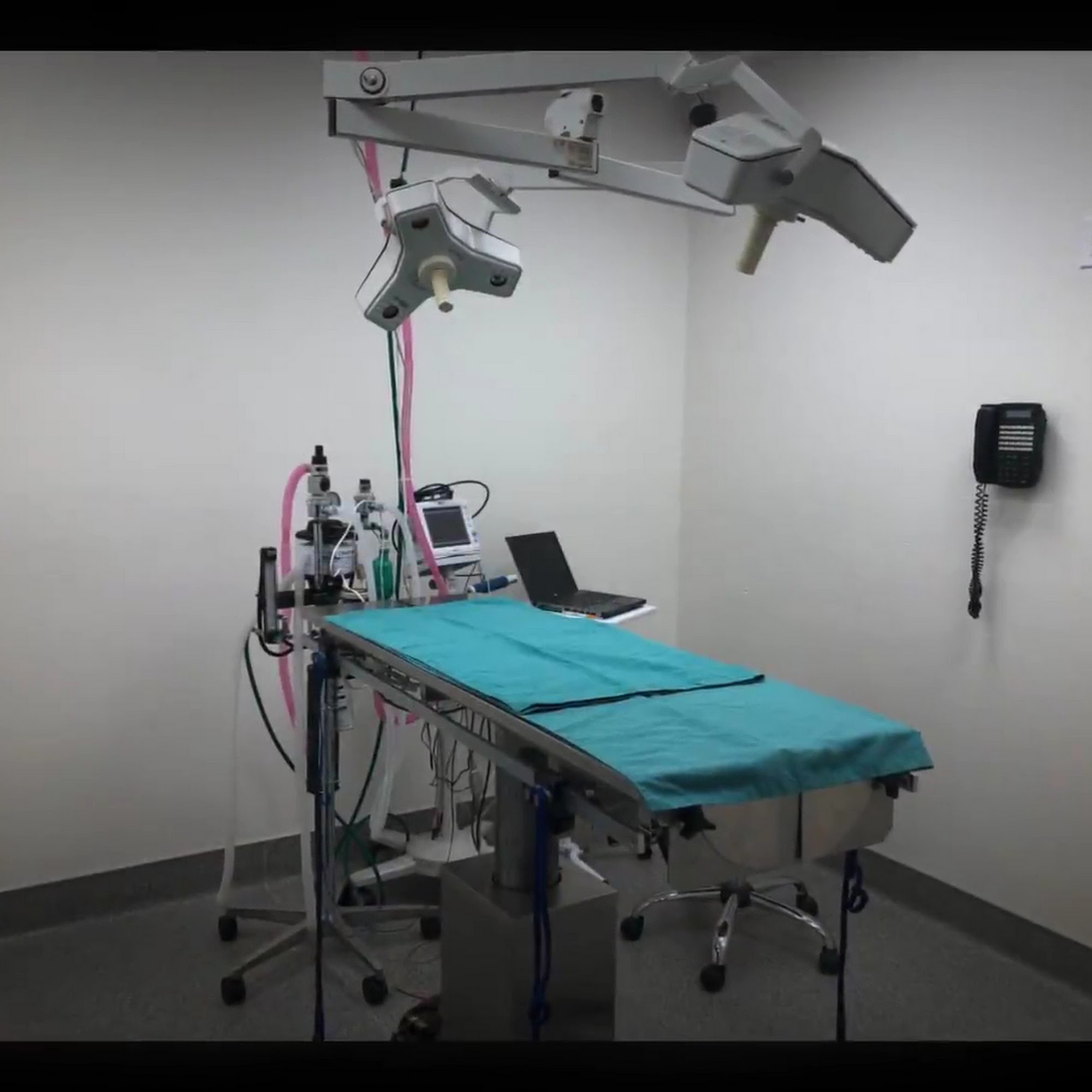 Mohnacky Animal Hospitals of Escondido Escondido