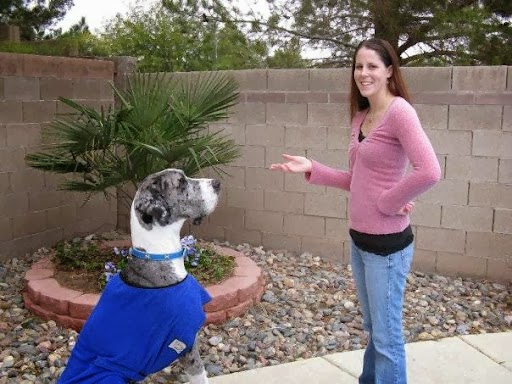 Peticularly Perfect Escondido