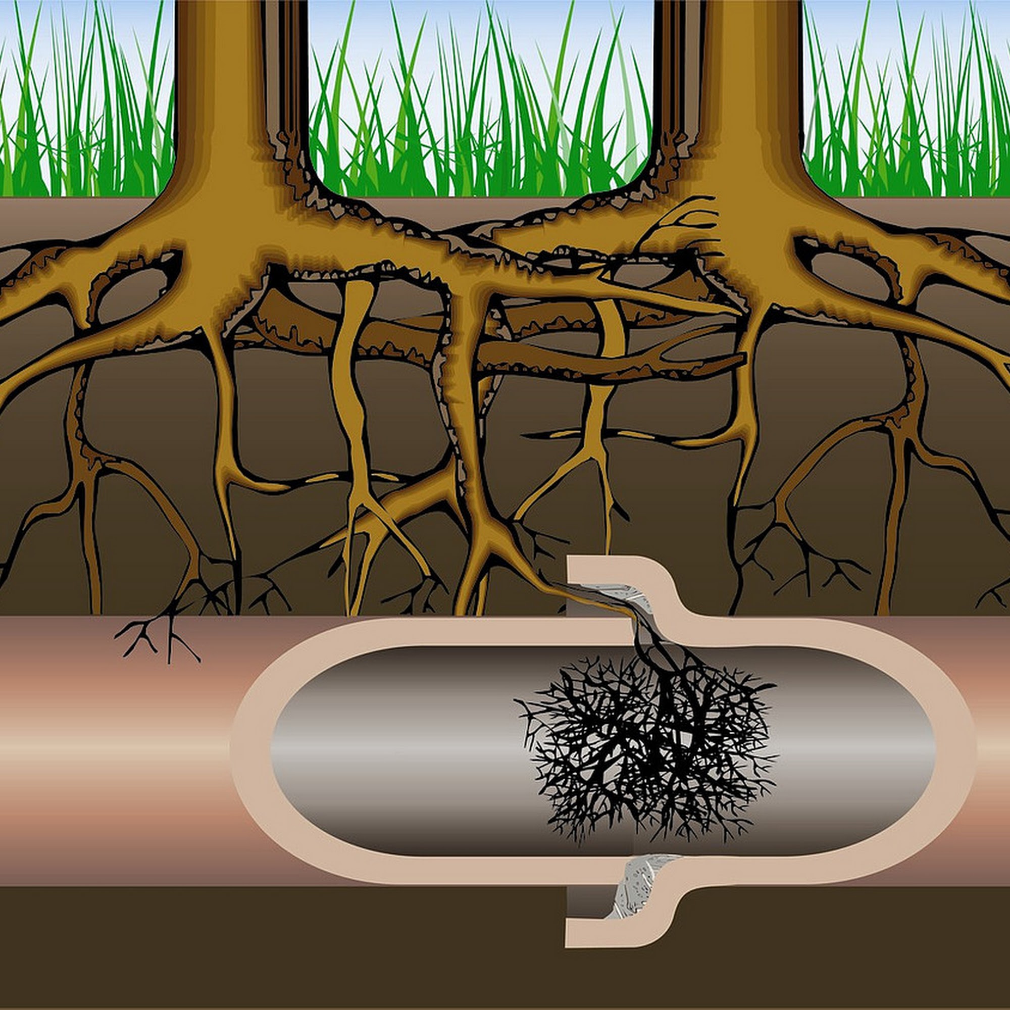 Johns Sewer Service