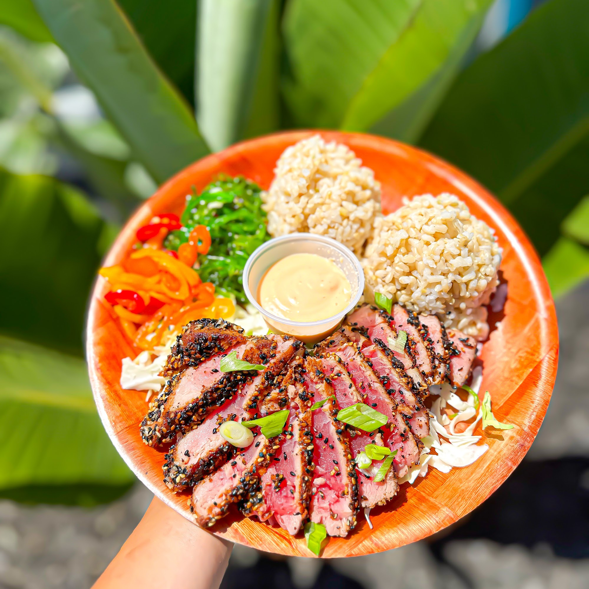 Pineapple Express Hawaiian Plate Lunch Eureka