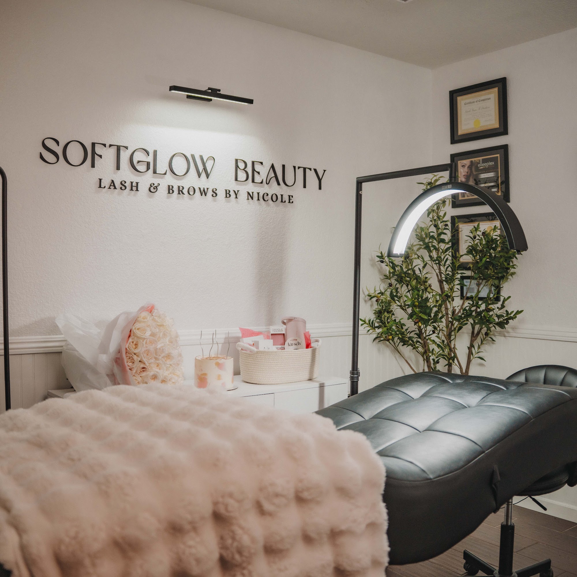 Softglow Beauty Lash & Brows by Nicole