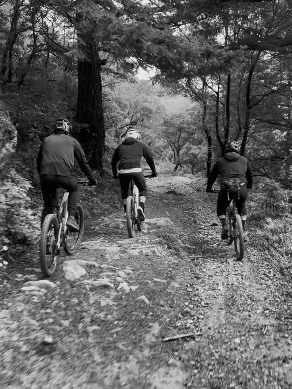 Splitrock Tap & Wheel Fairfax