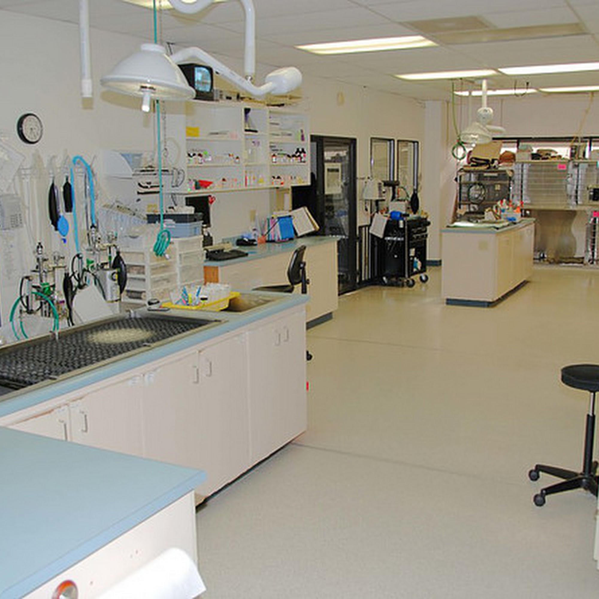 Solano-Napa Pet Emergency Clinic Fairfield