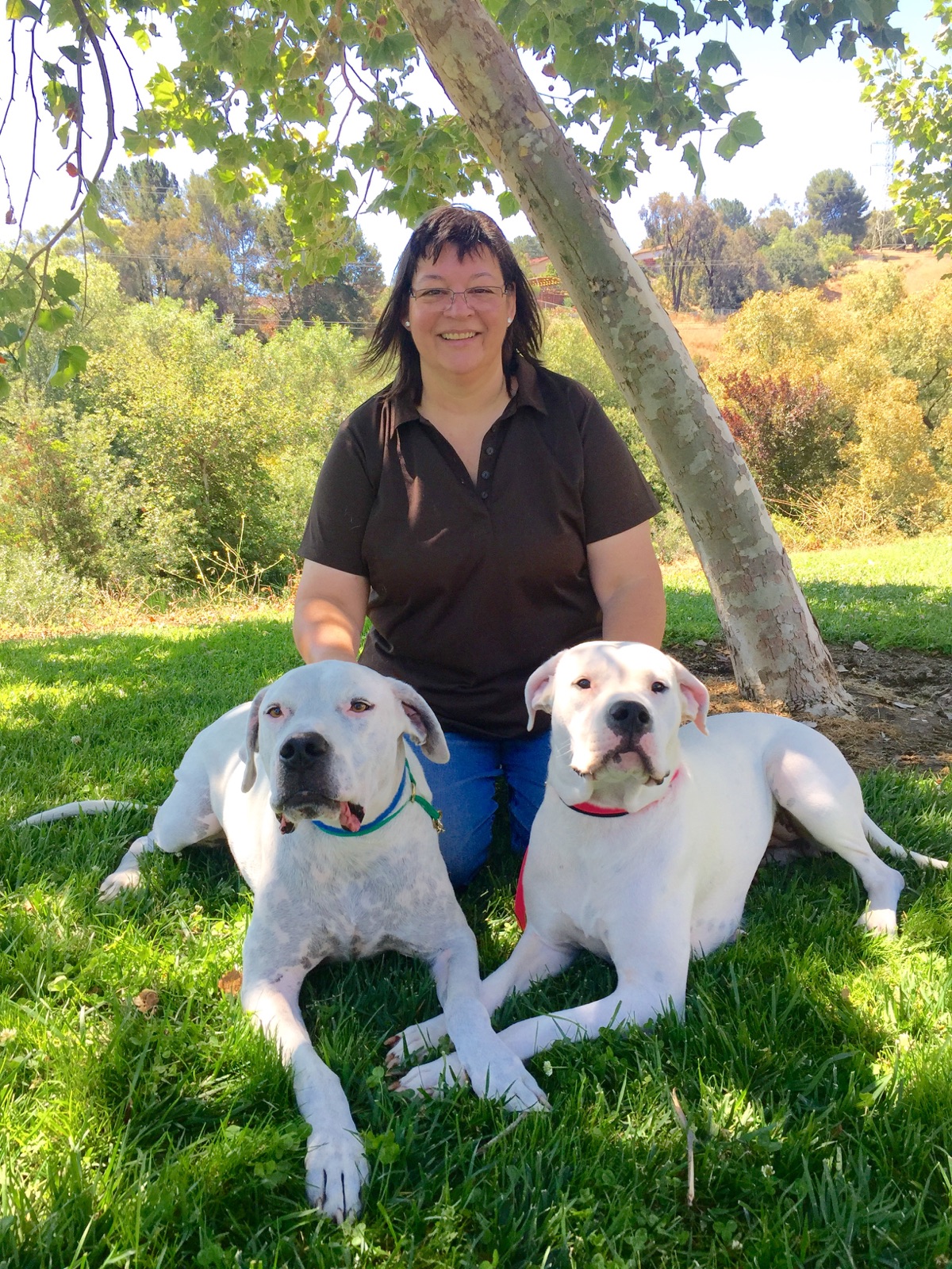 Lisa's Nosy Puppers Dog Training Fairfield