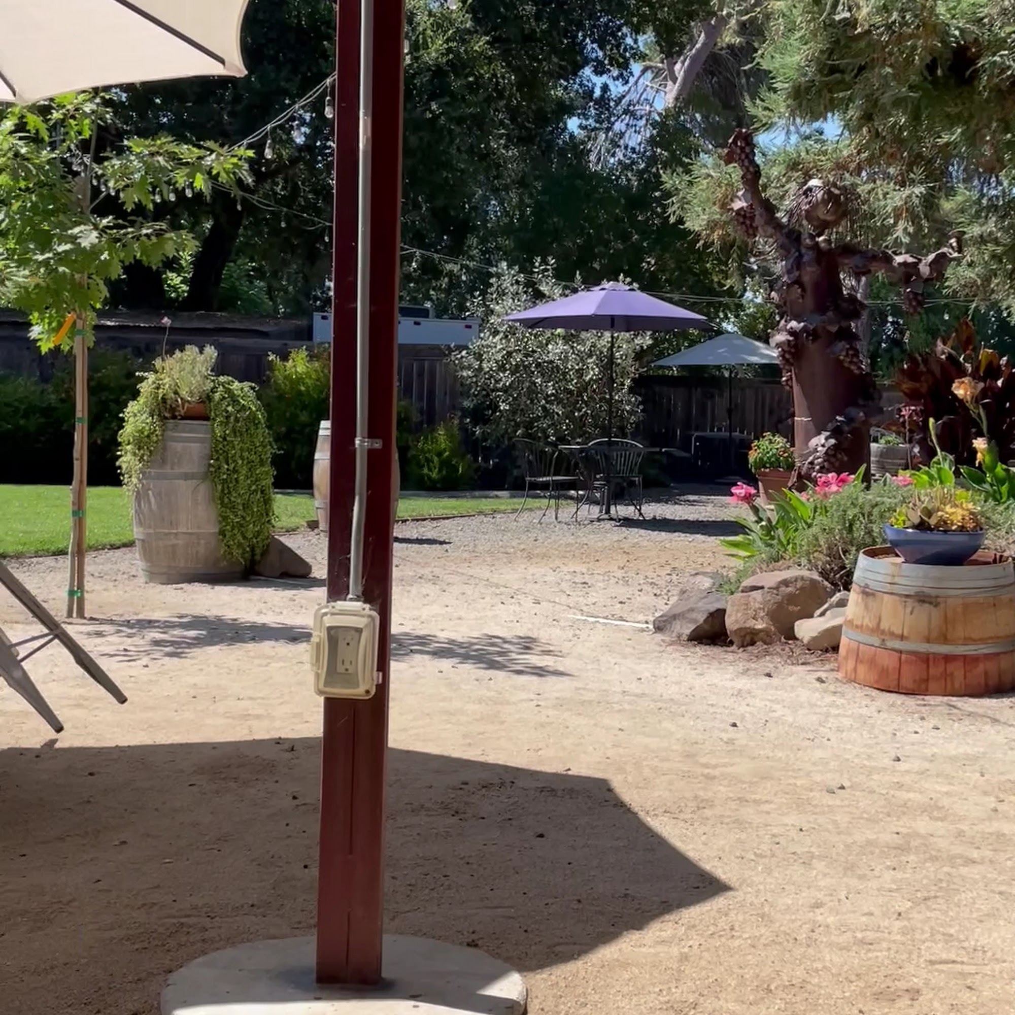 Mangels Vineyards Fairfield