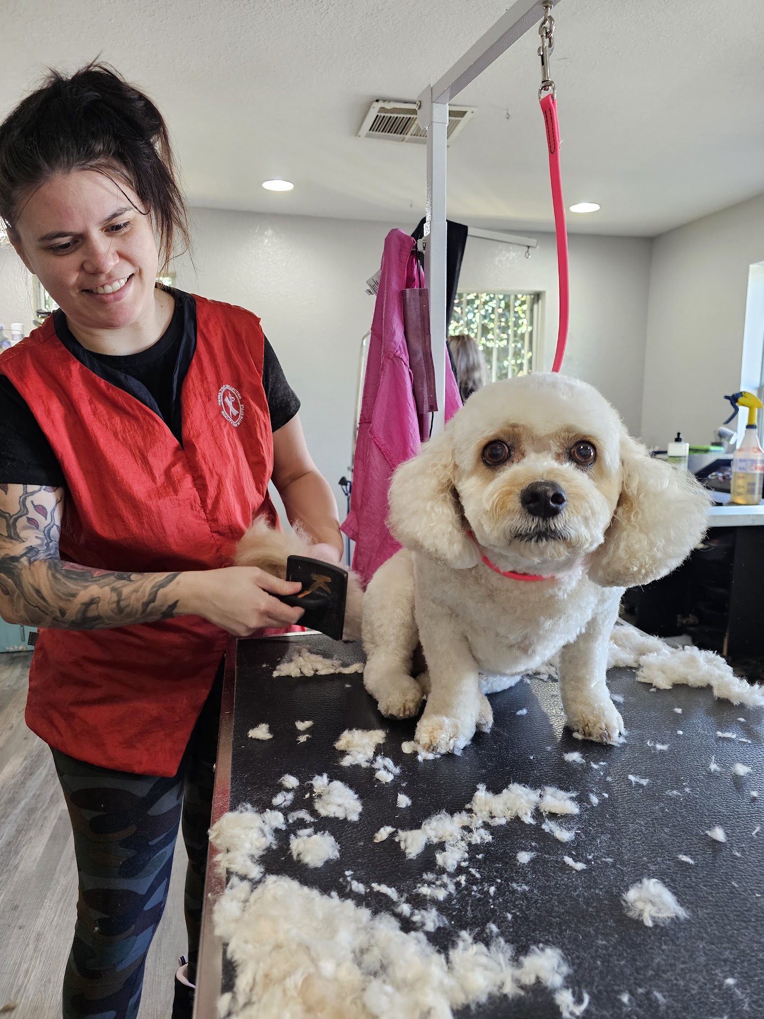 FallBrook's Paradise Pet Spa Fallbrook