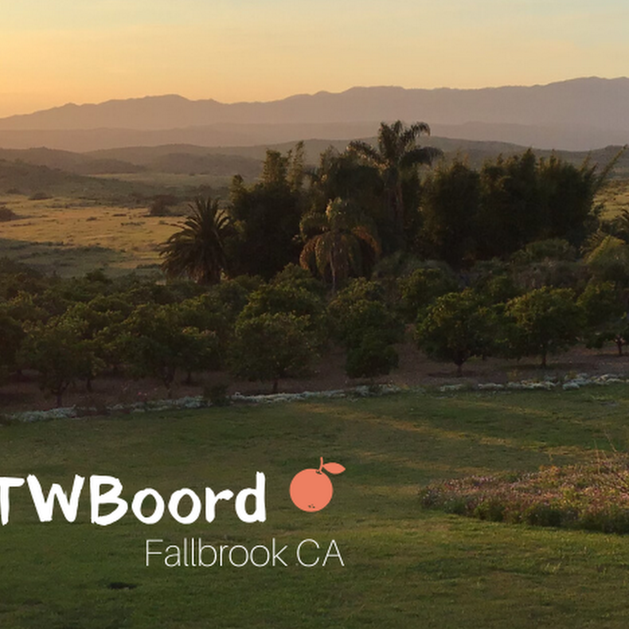 Kim Lee-Thorp at TWBoord