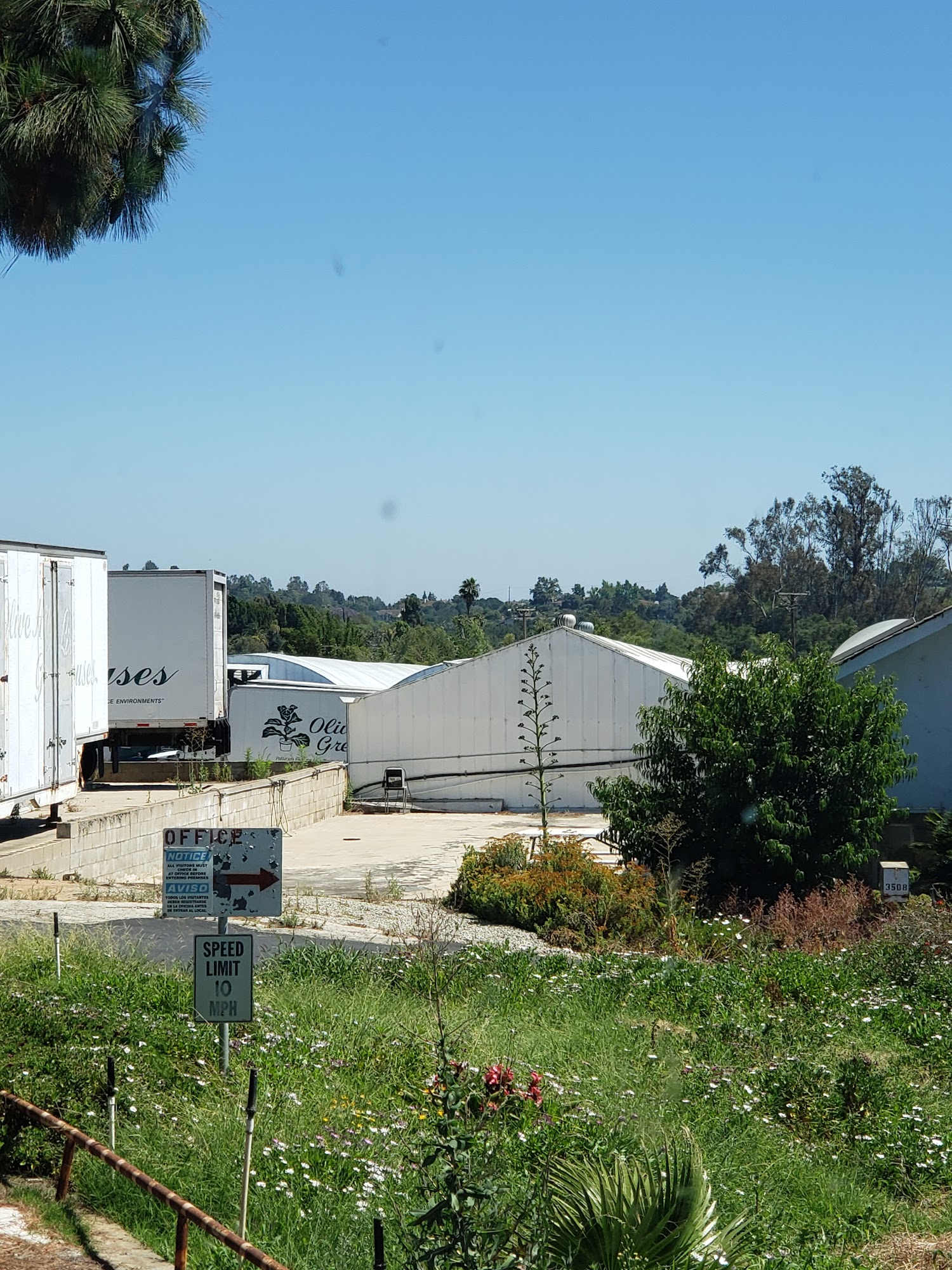 Olive Hill Greenhouses Fallbrook