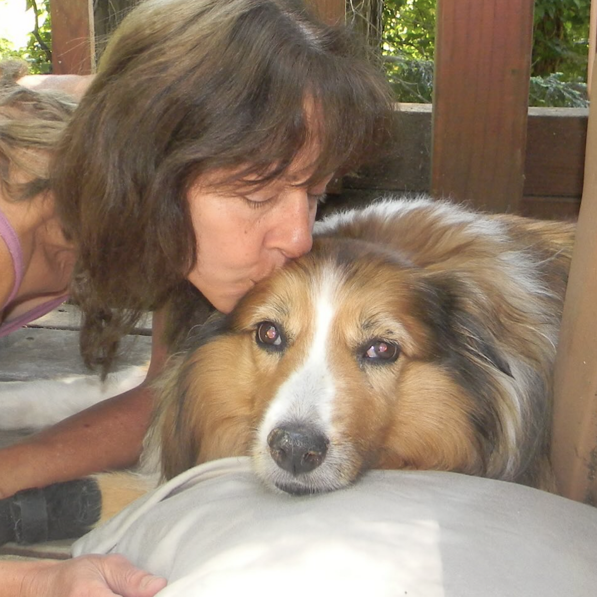 Beneath the Redwoods Mobile Vet Felton