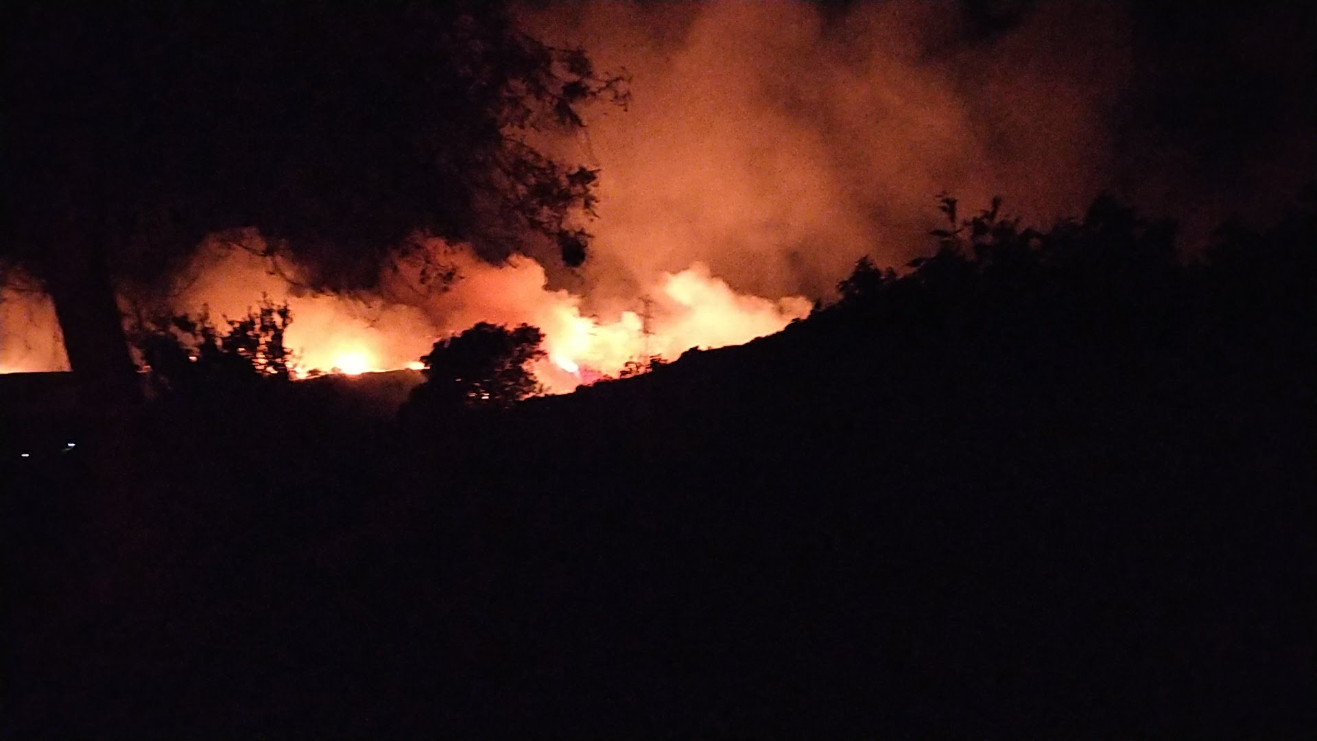 Doberman Pinscher Rescue Fillmore