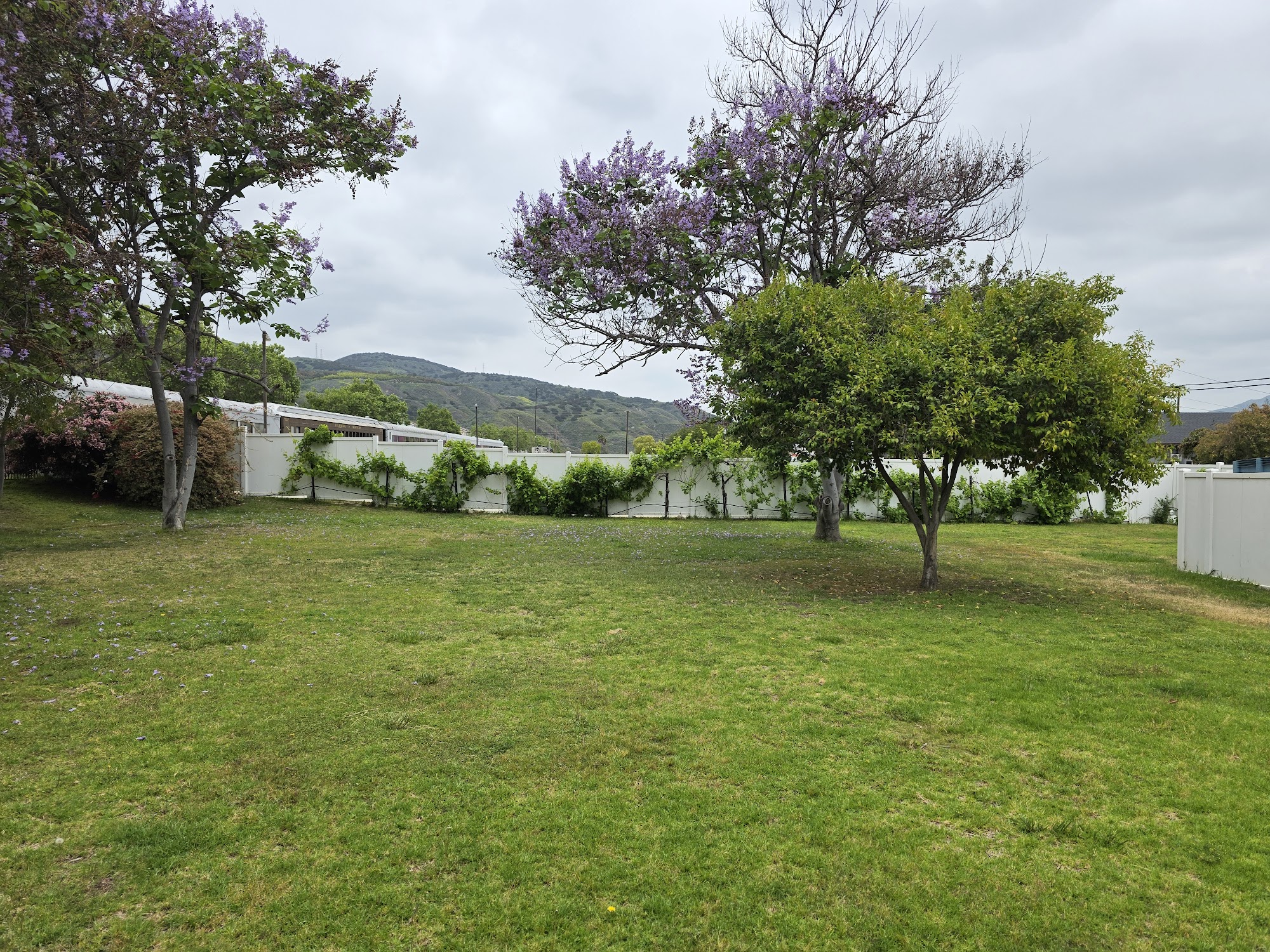 Giessinger Winery & Cidery Menu