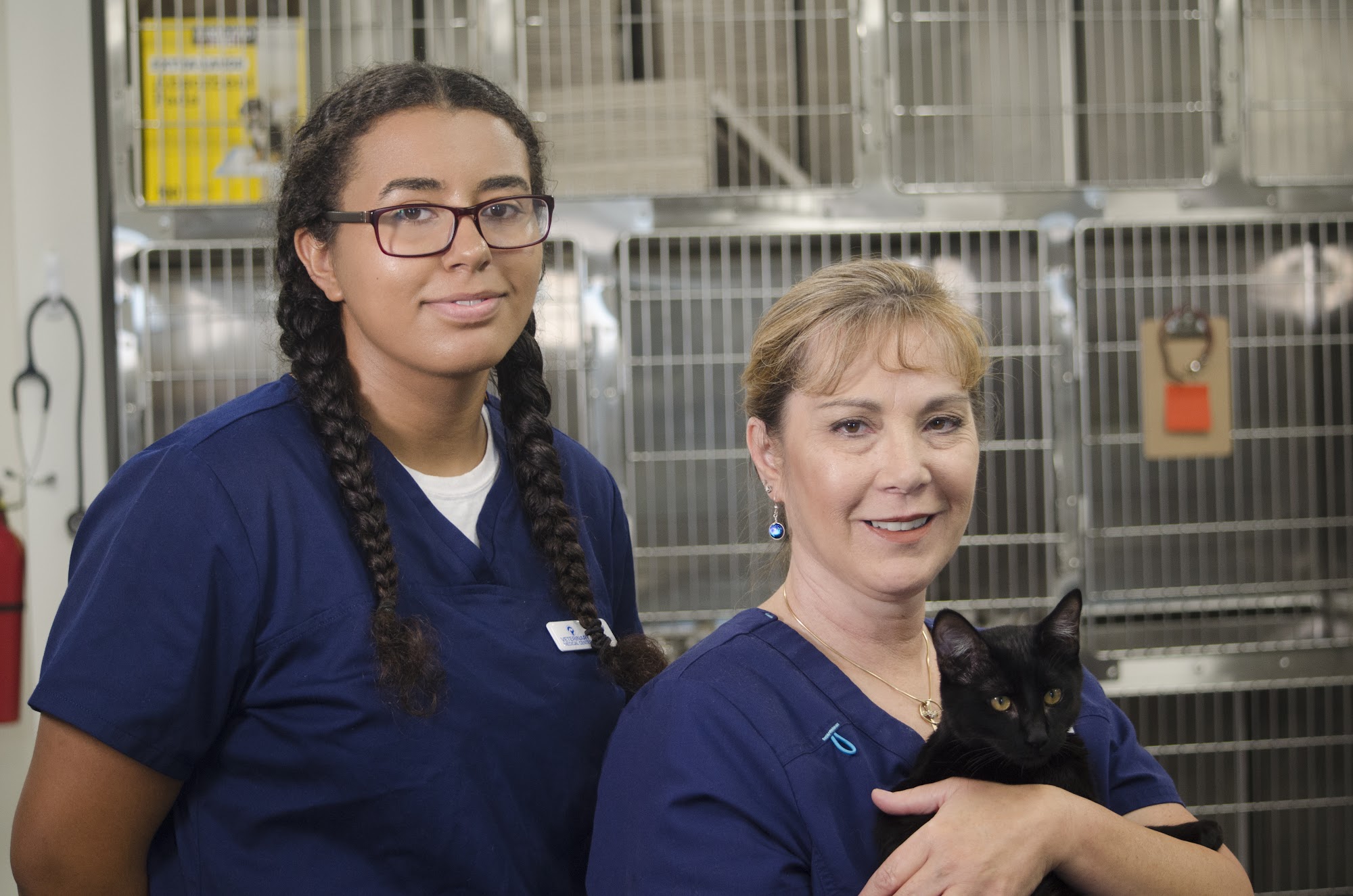 Veterinary Medical Center of Folsom Folsom