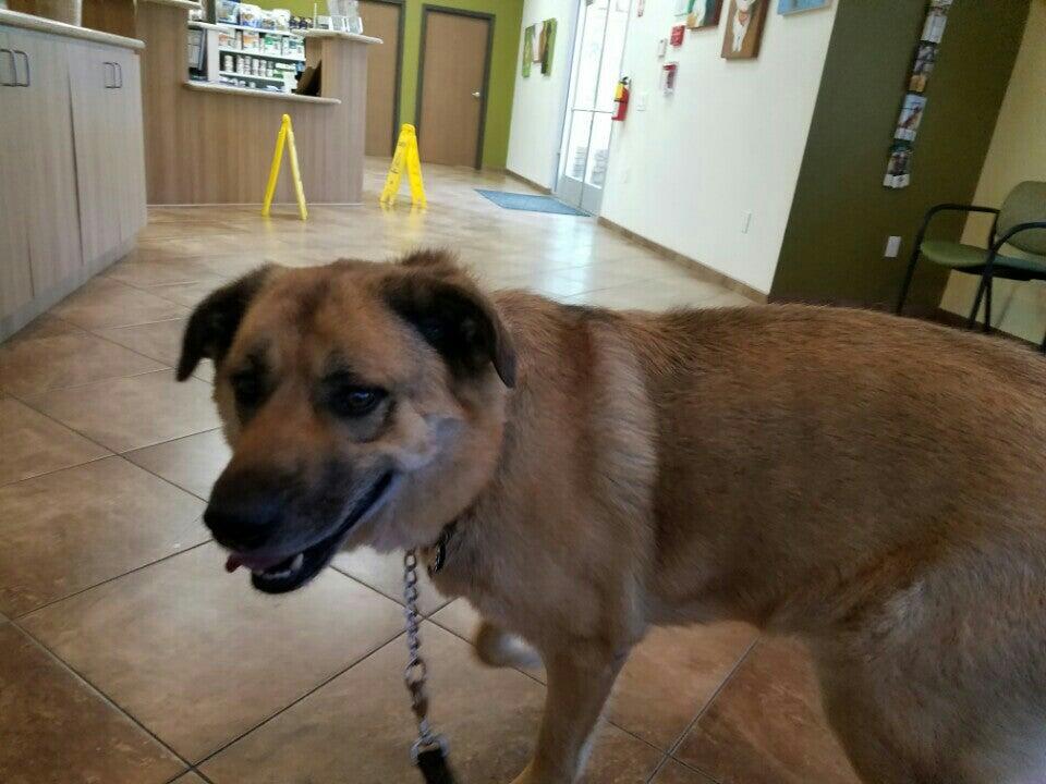 Prestige Animal Hospital - South Fontana Fontana