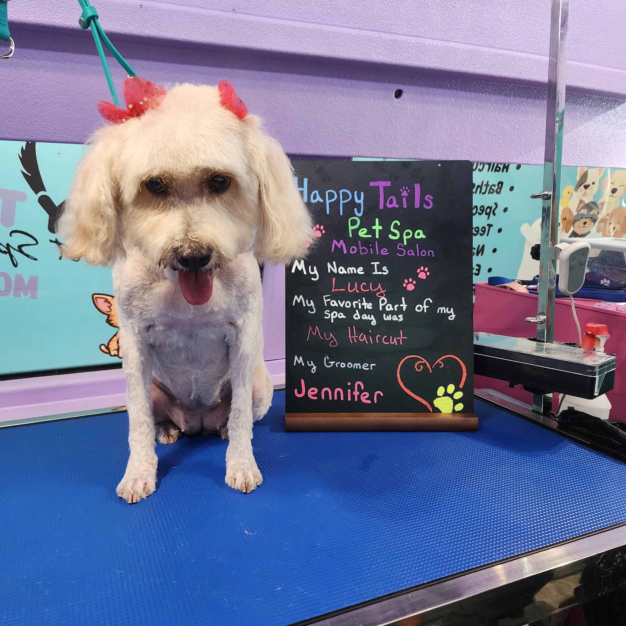 Happy Tails Pet Spa Fontana