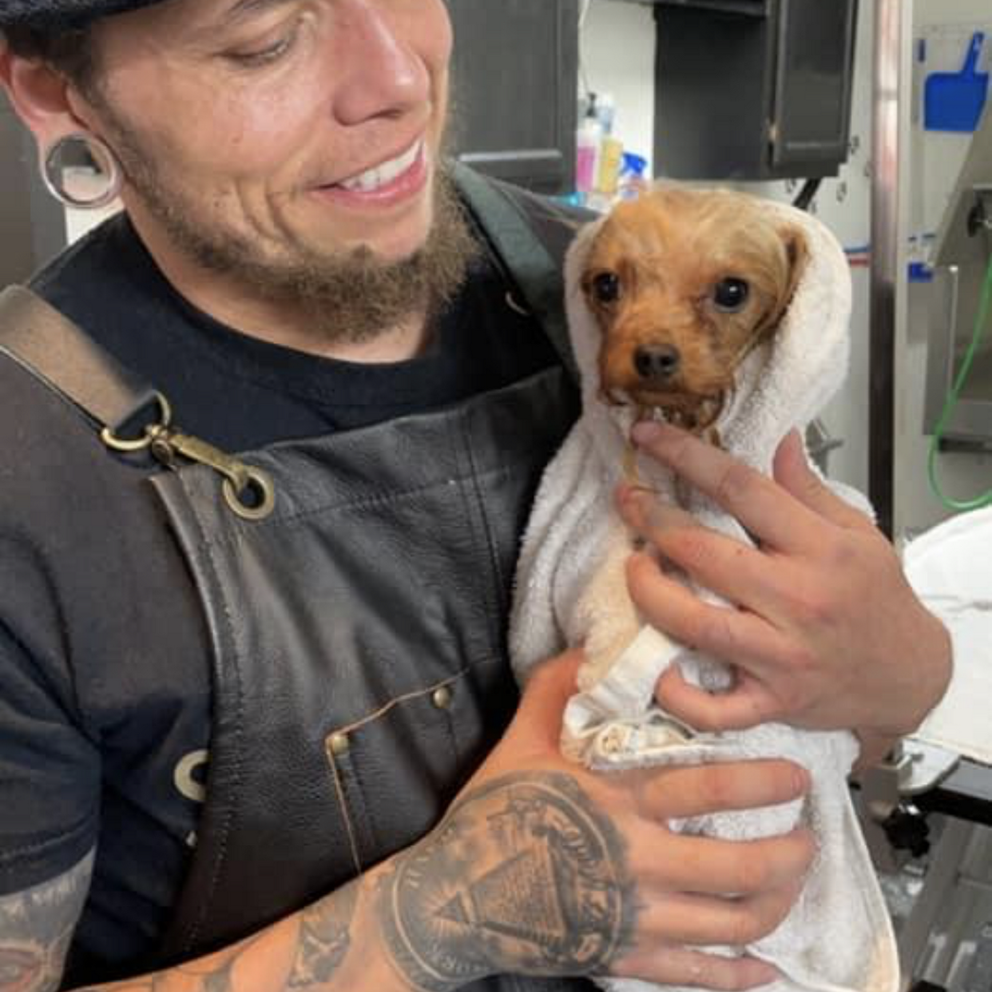 Sebastian’s Pet Grooming LLC 17346 Filbert St, Fontana California 92335