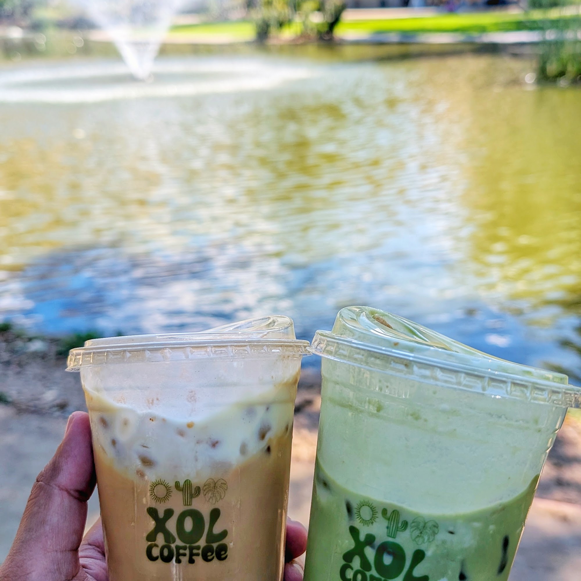 Xol Coffee Fontana